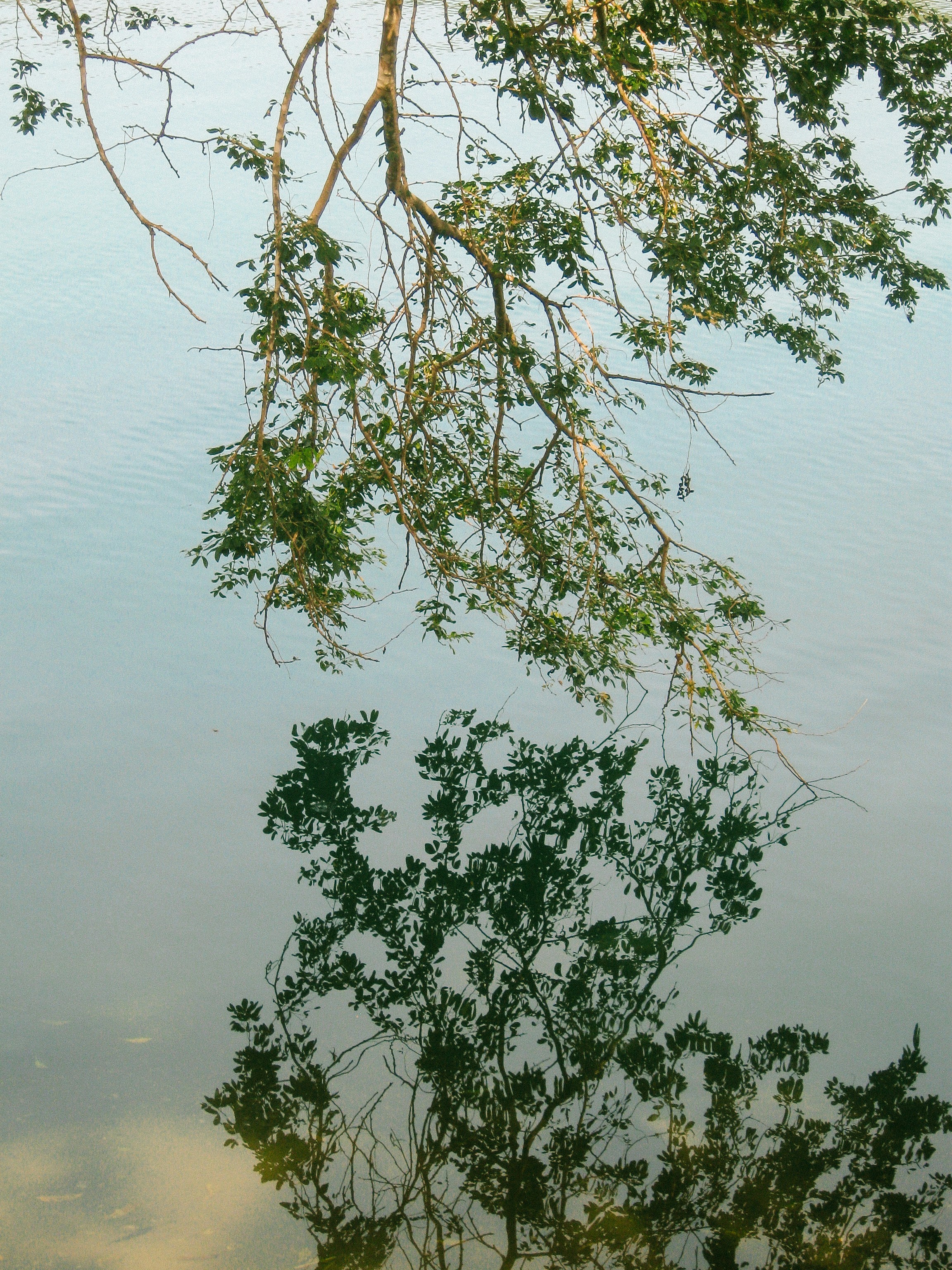 Photo by leovamexican