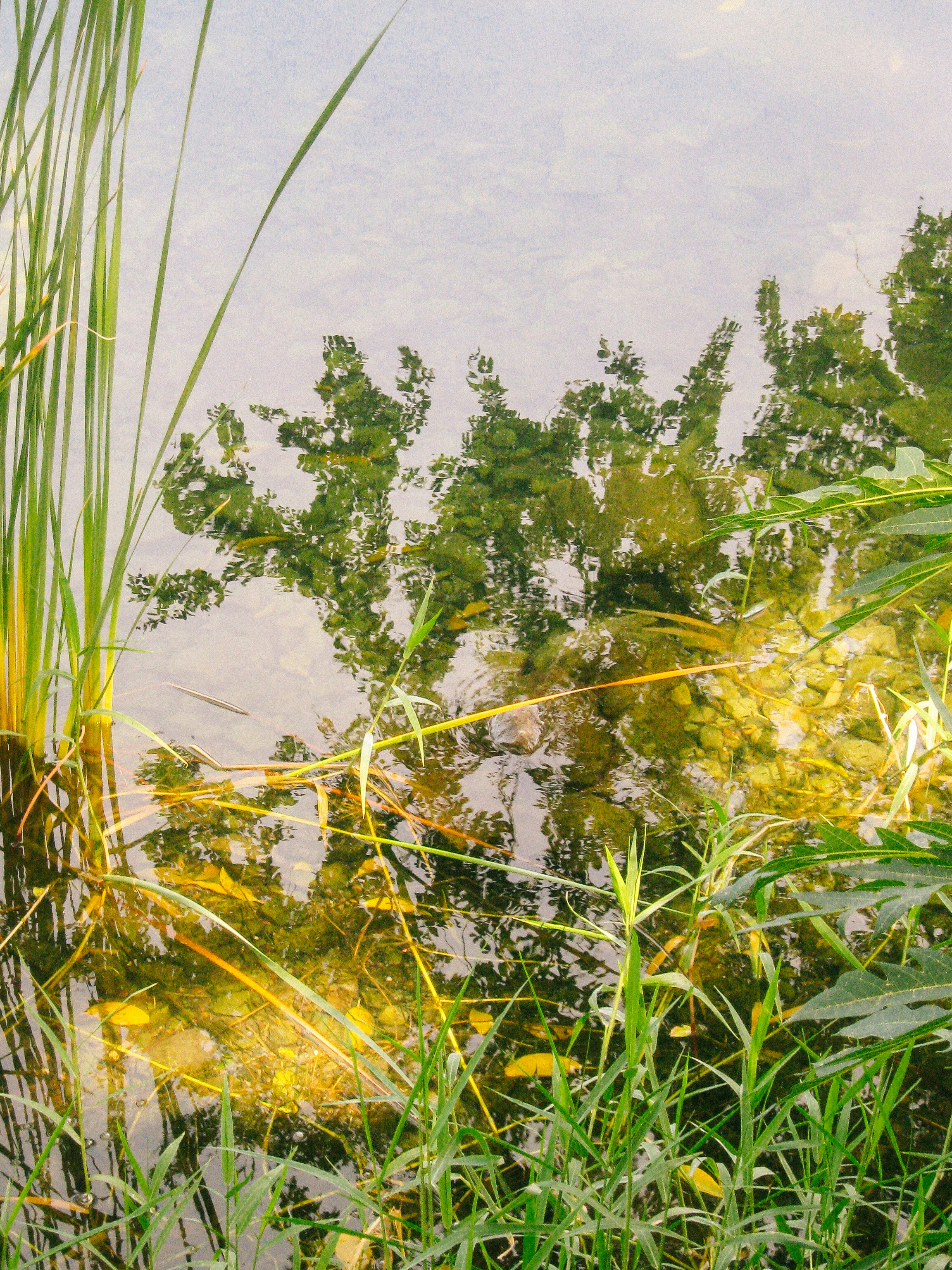 Photo by leovamexican