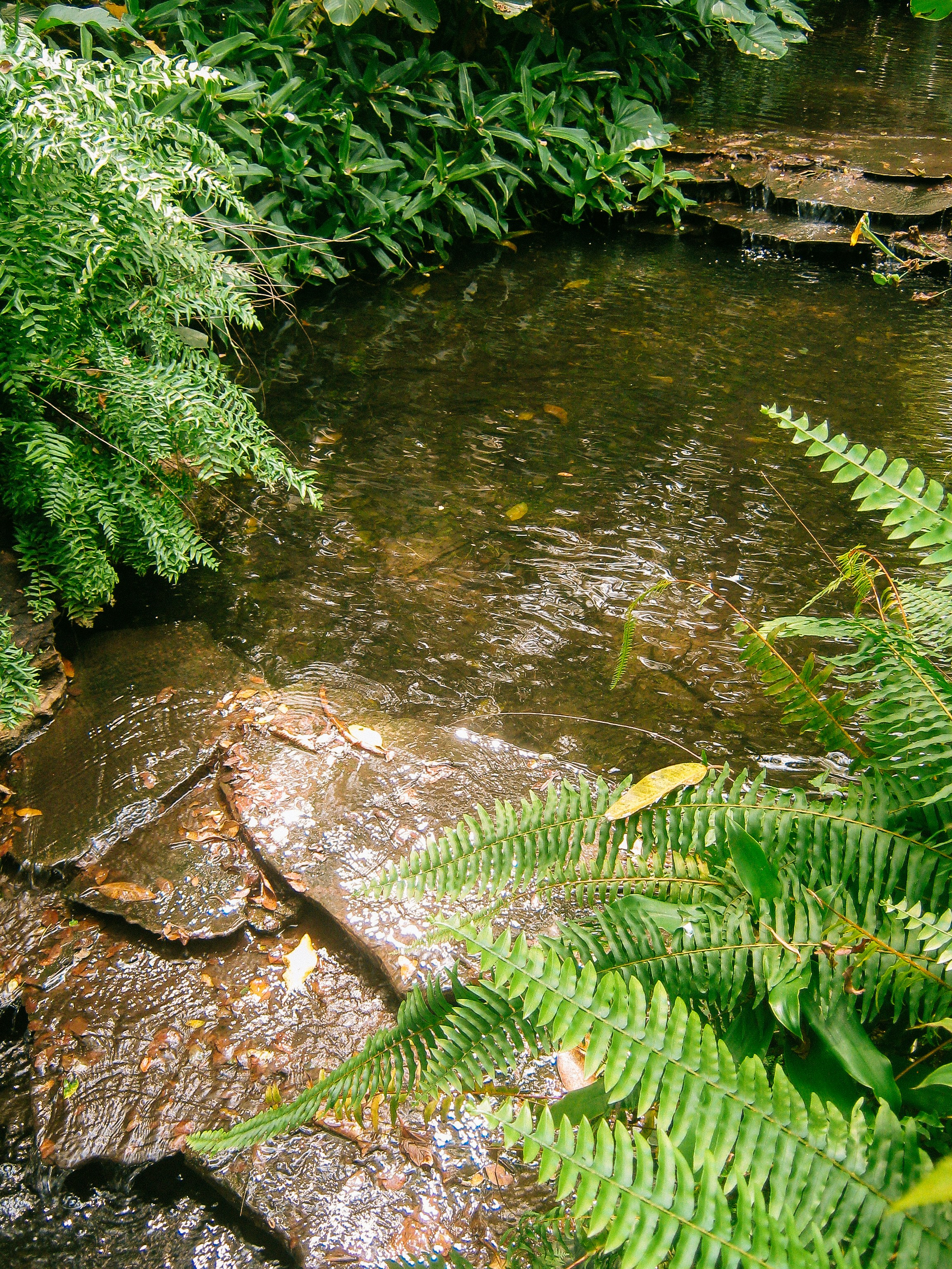 Photo by leovamexican