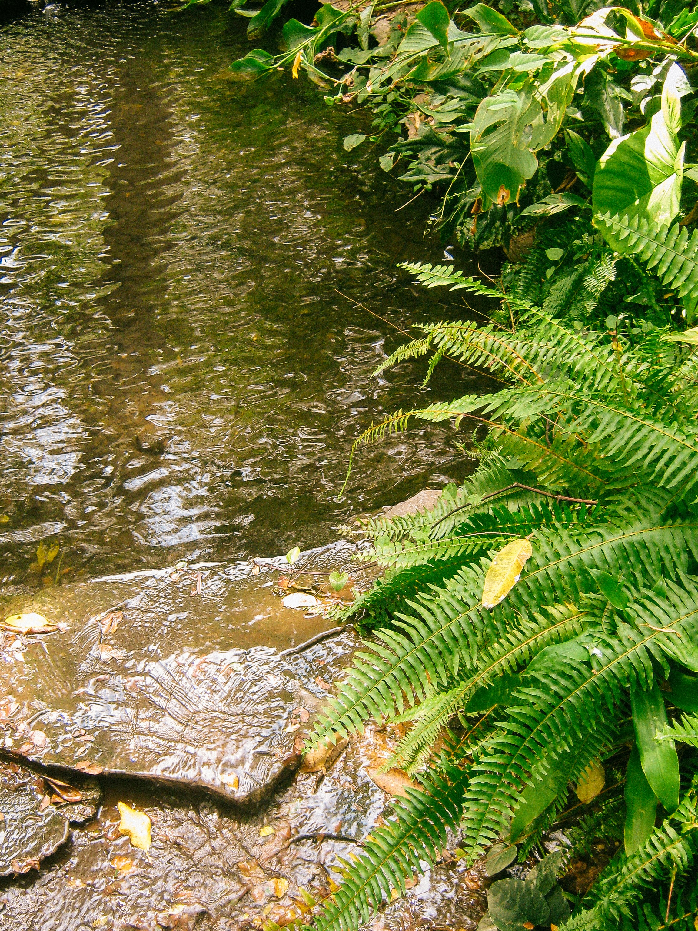 Photo by leovamexican