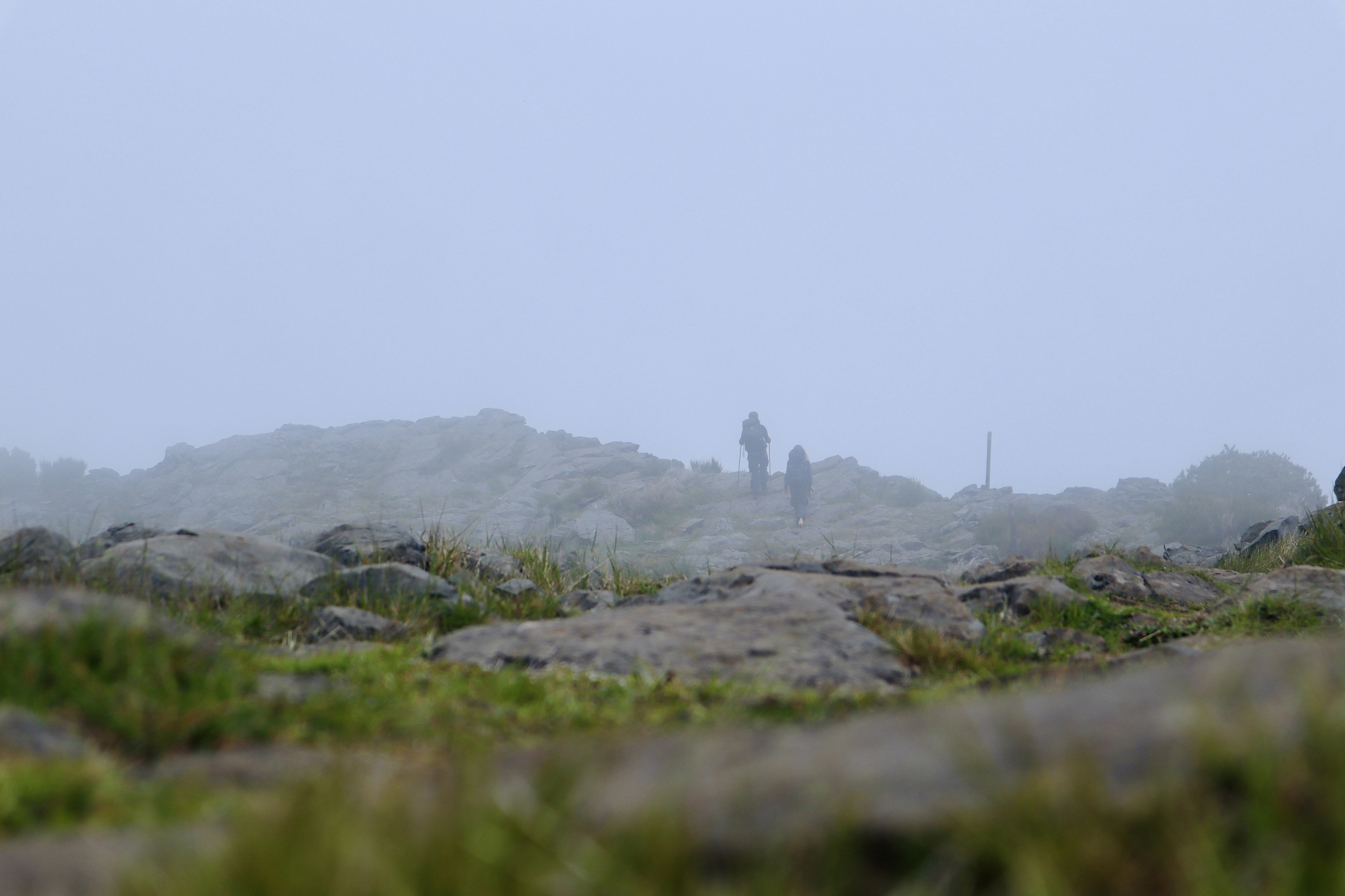 Photo by rasmusodegaard