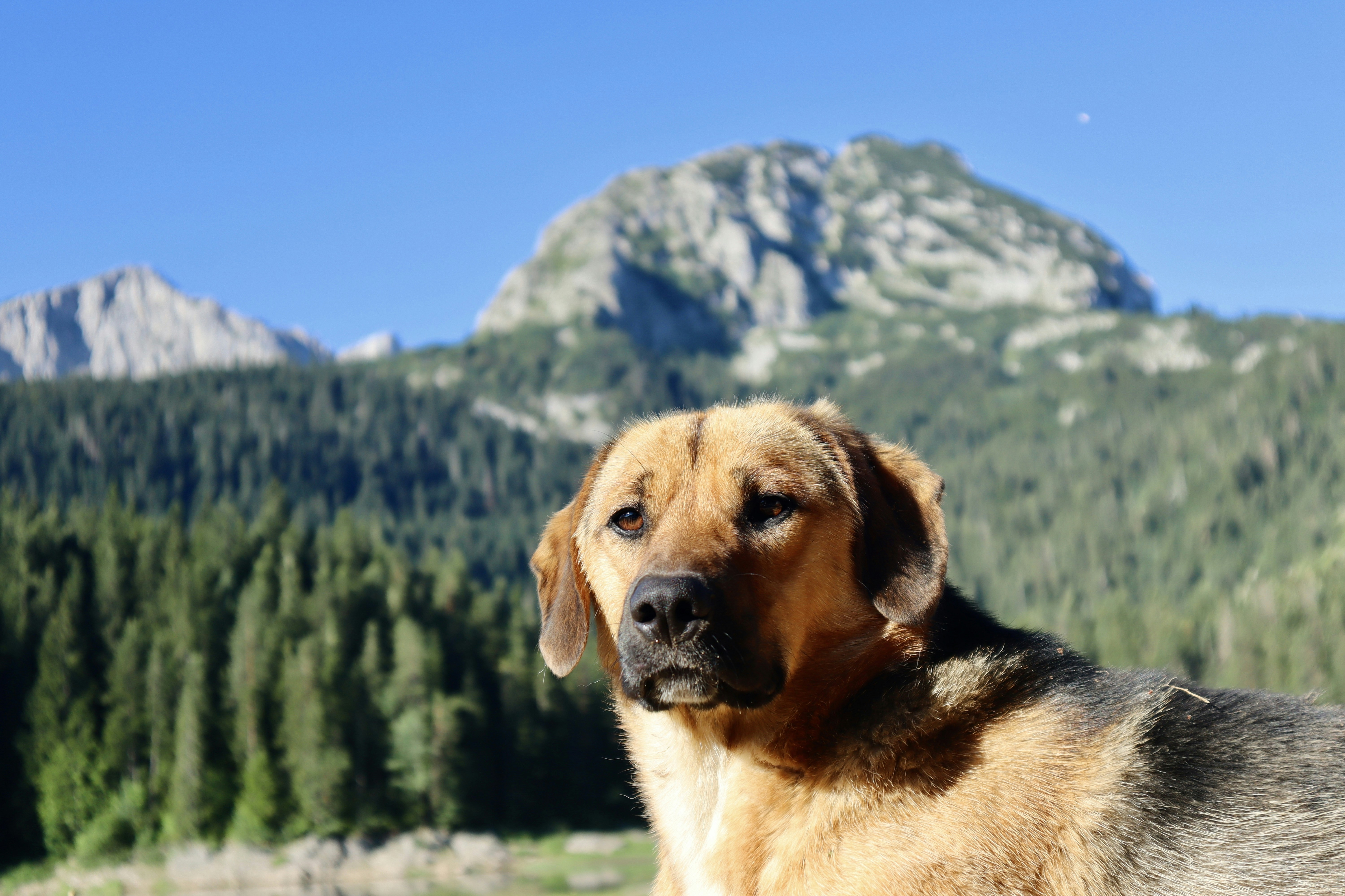 Photo by rasmusodegaard