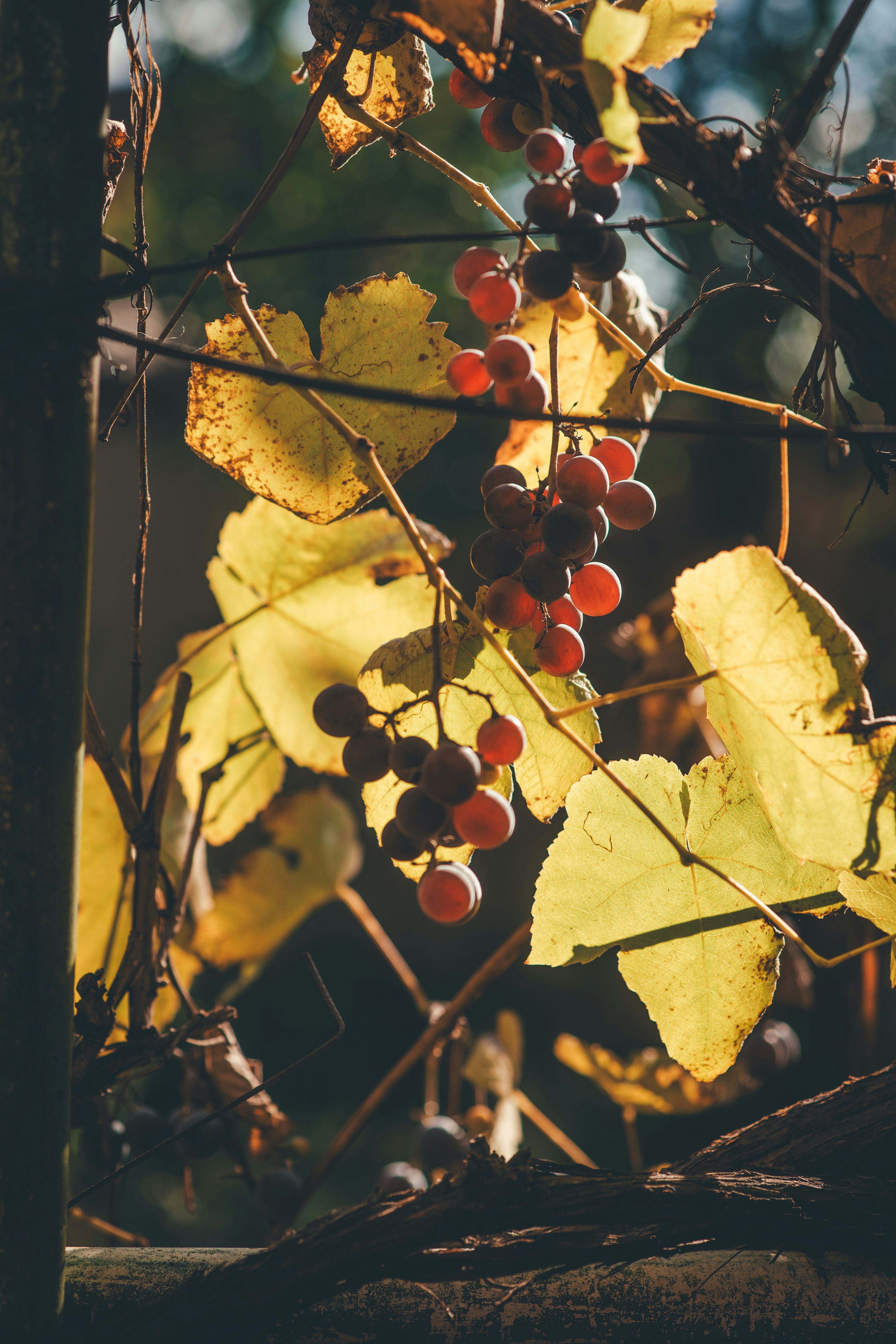 Photo by onmywayhome