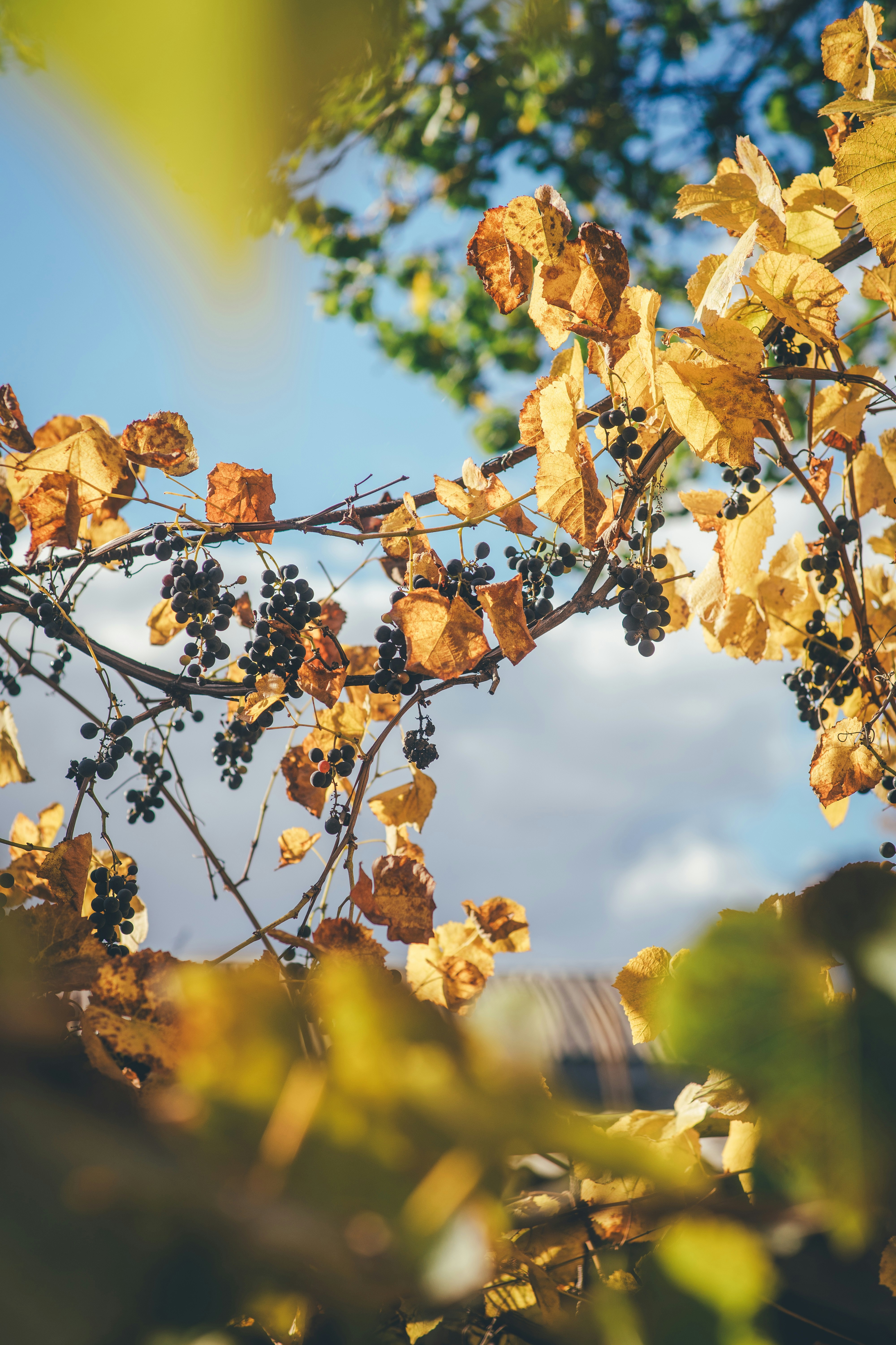 Photo by onmywayhome