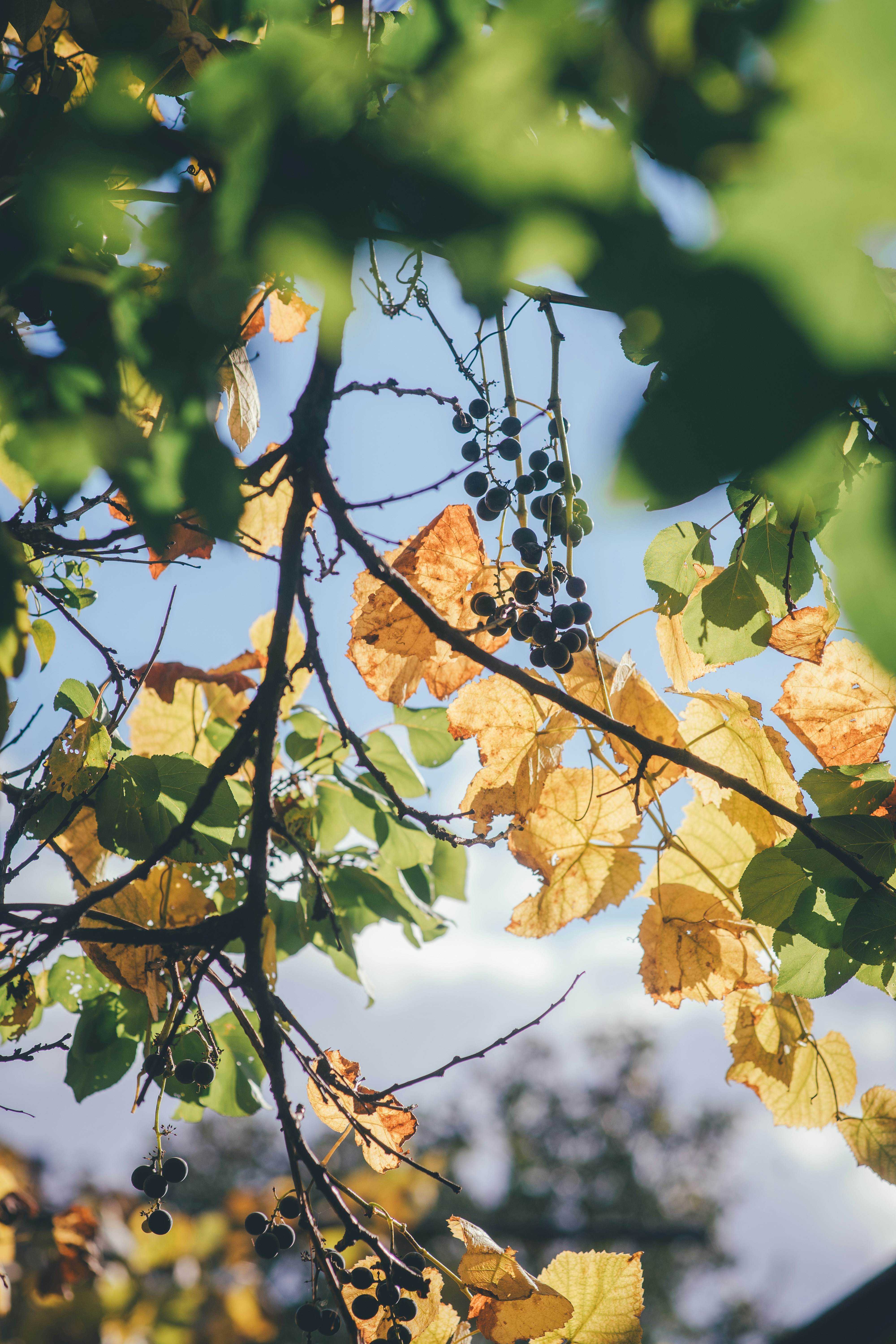 Photo by onmywayhome