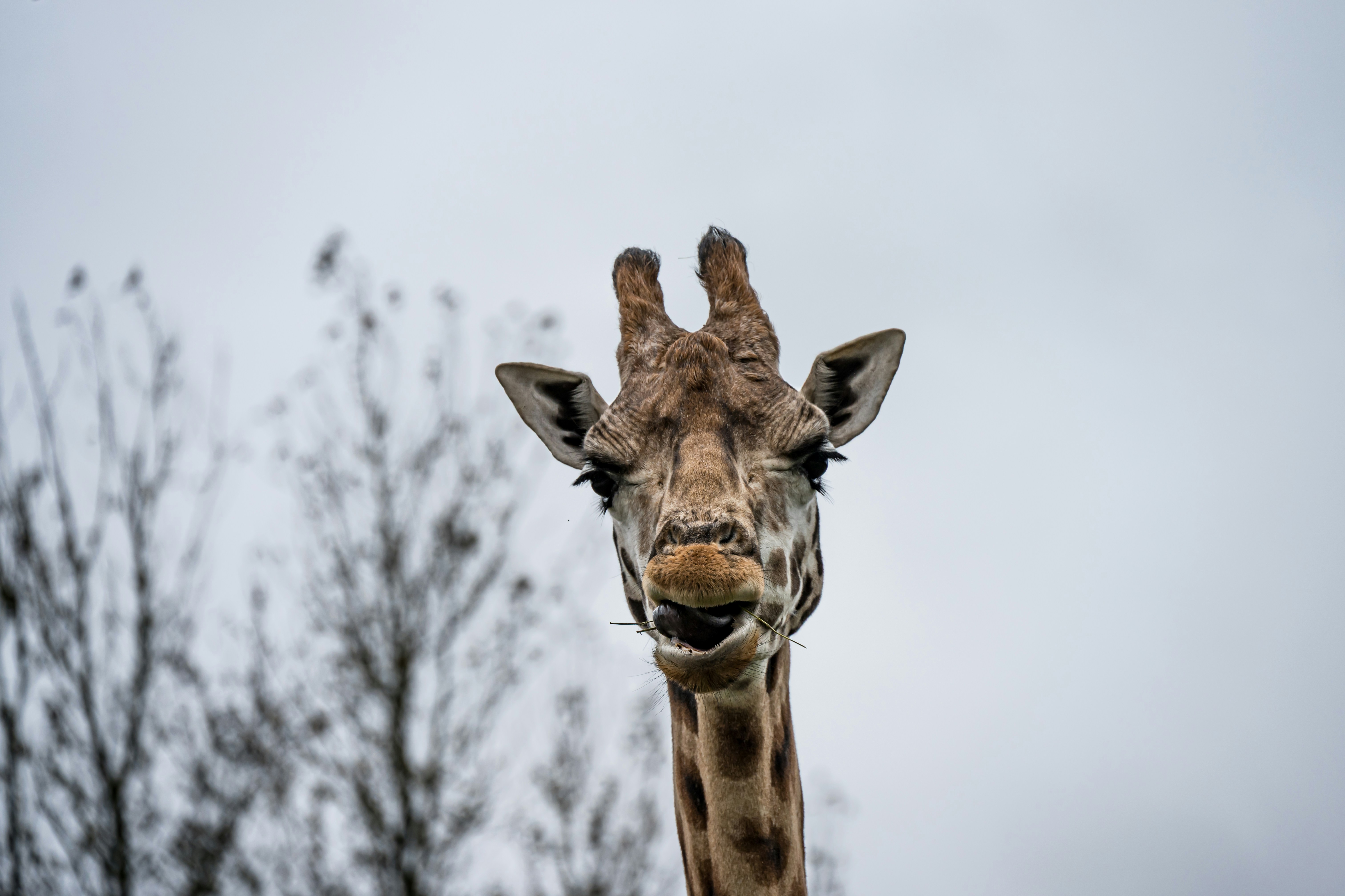 Photo by justmejuliee