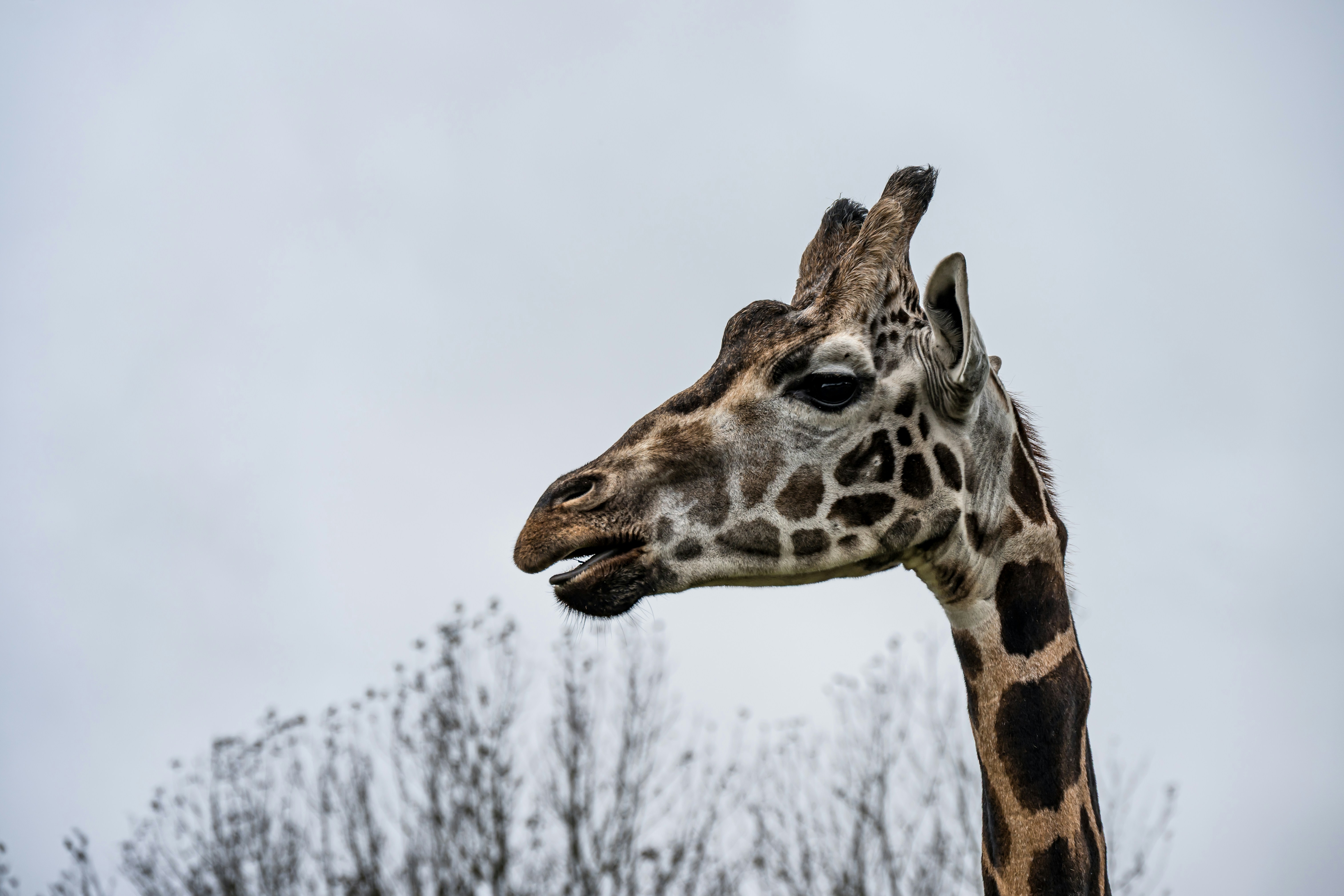 Photo by justmejuliee