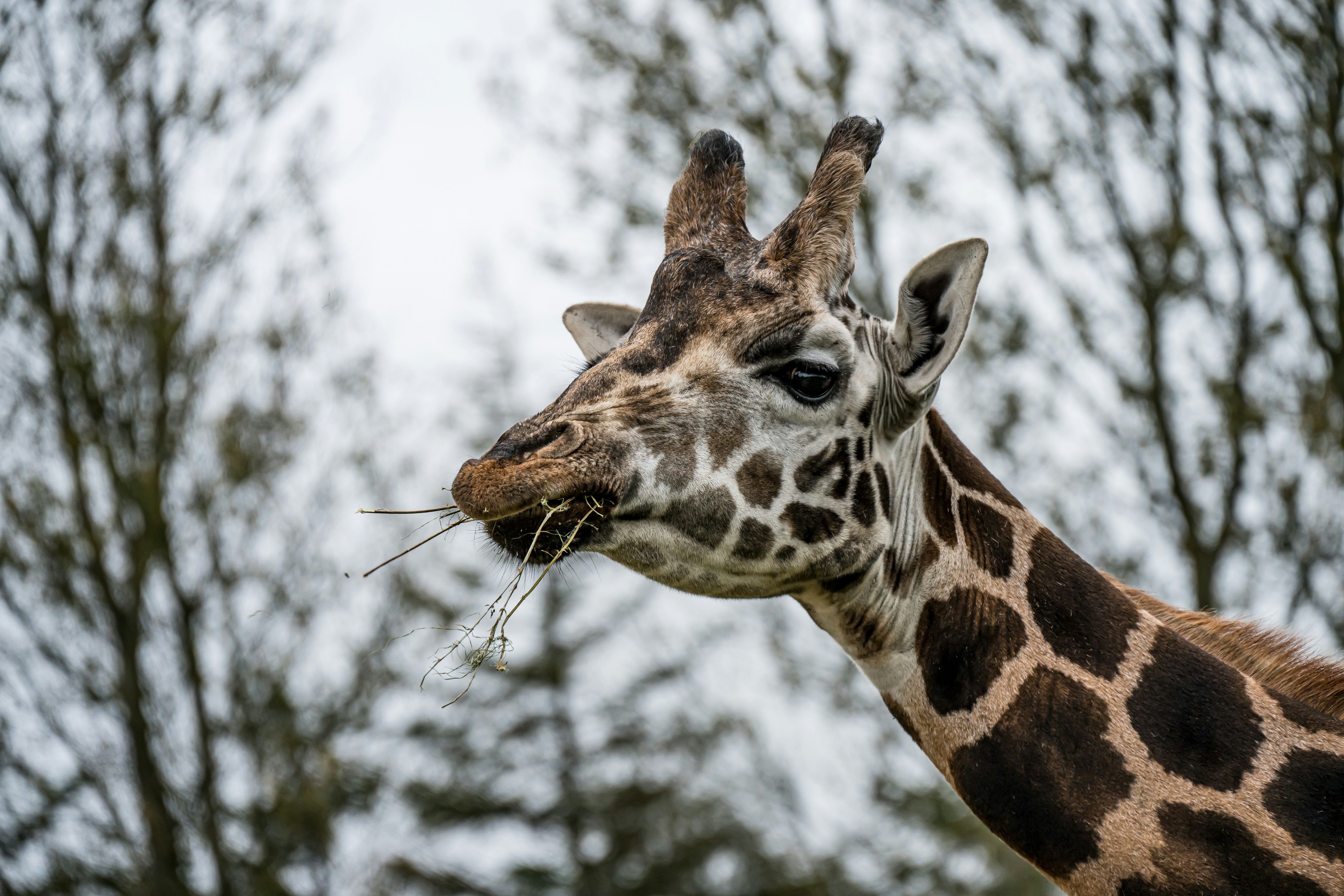 Photo by justmejuliee