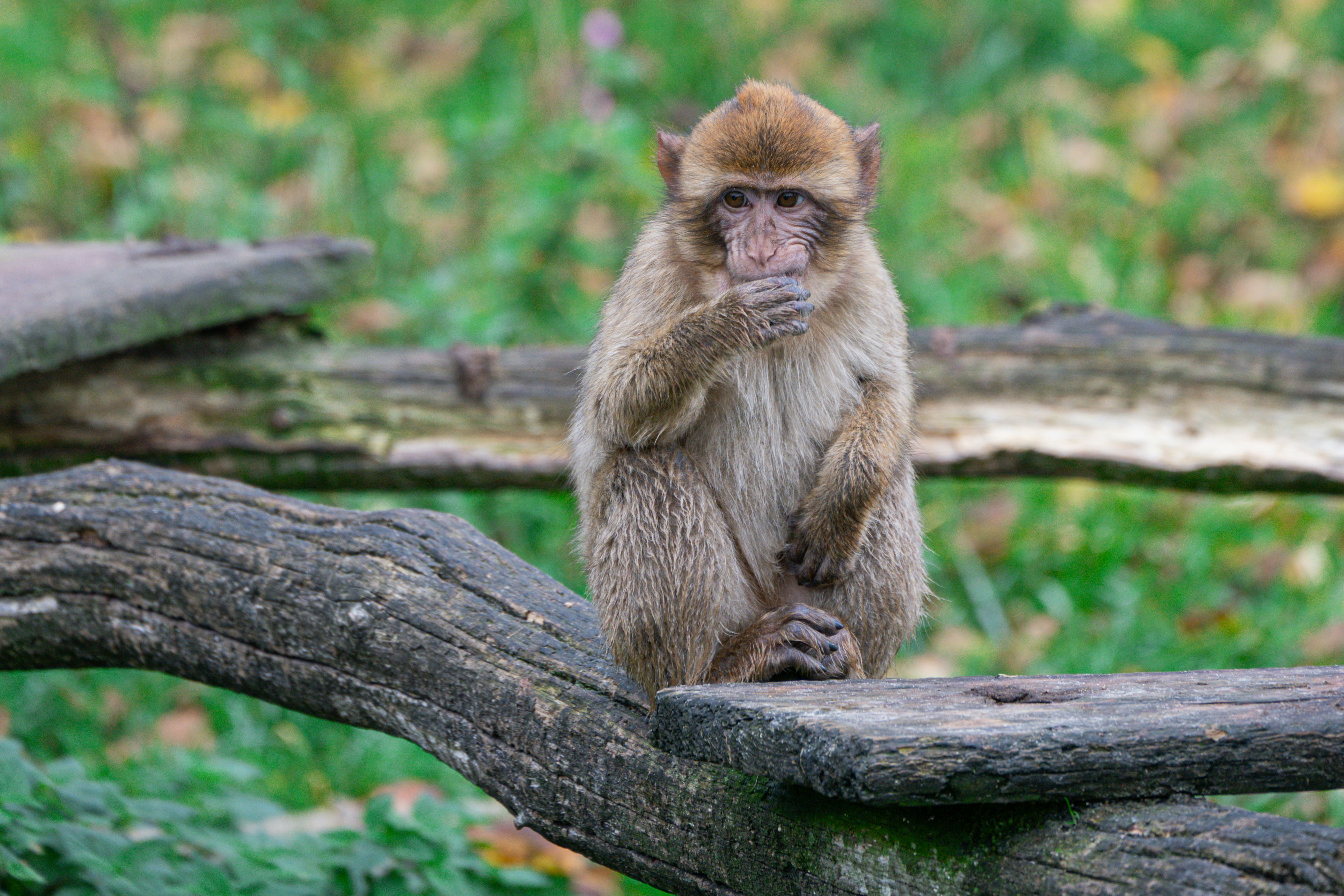 Photo by justmejuliee