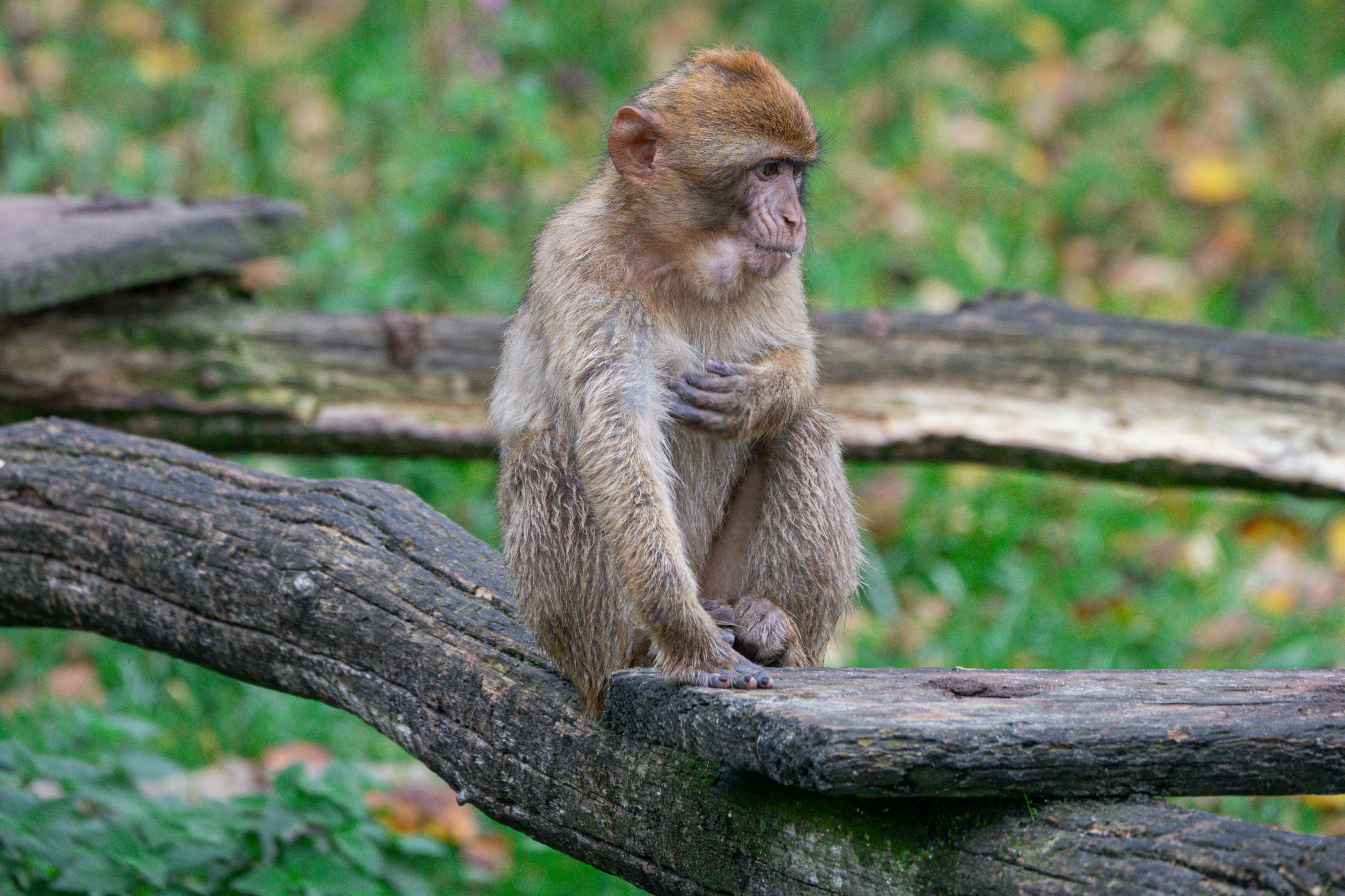 Photo by justmejuliee