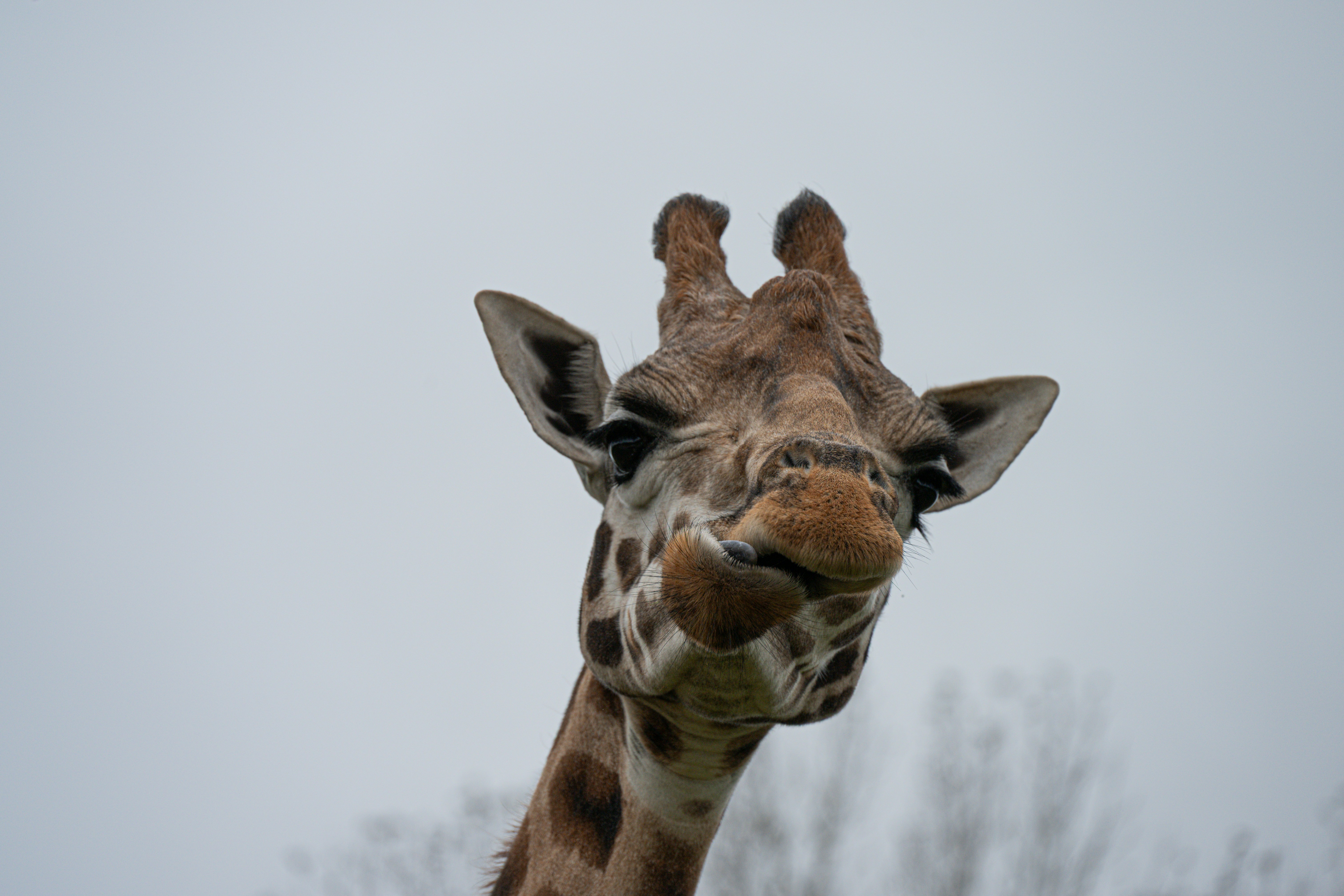 Photo by justmejuliee