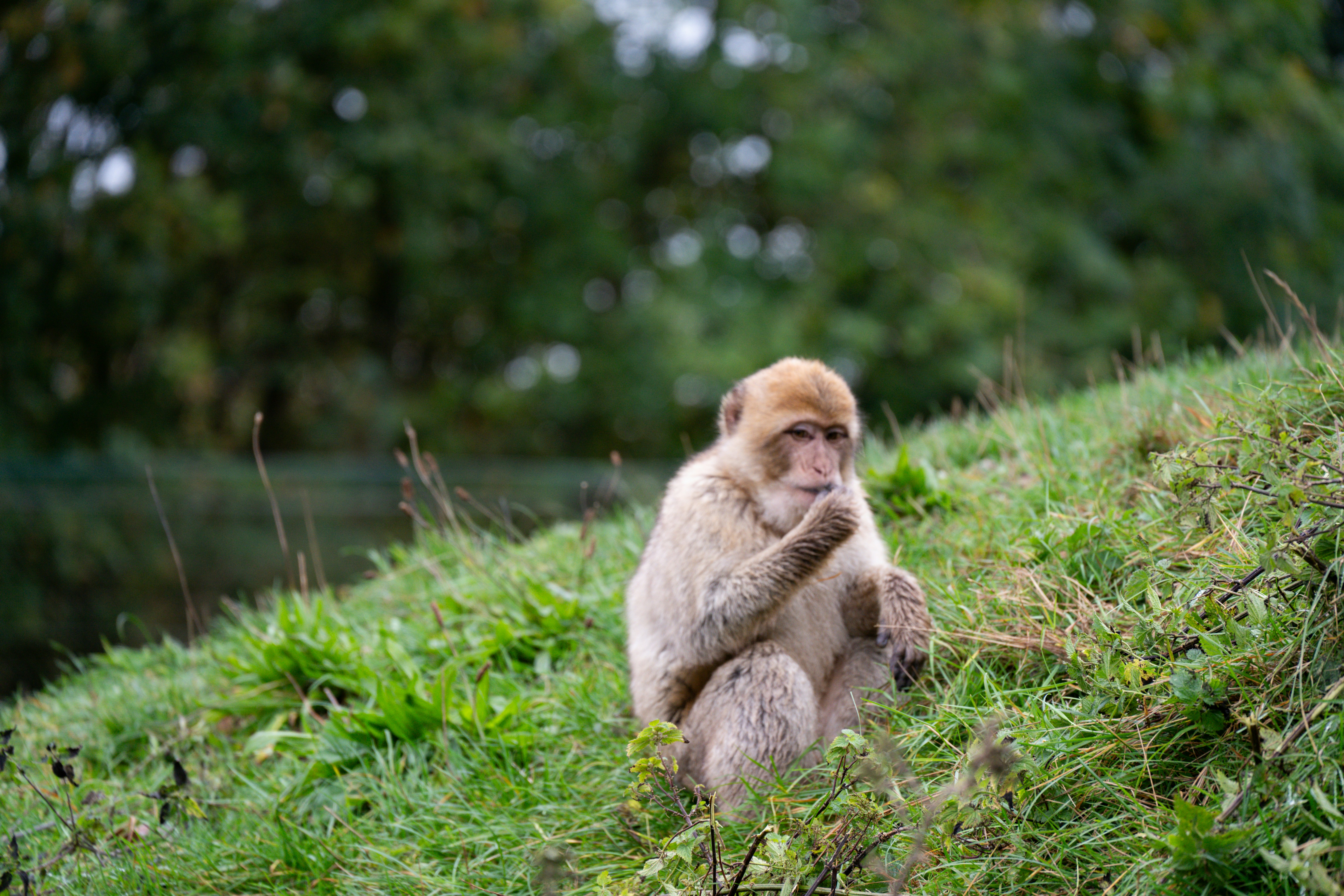 Photo by justmejuliee