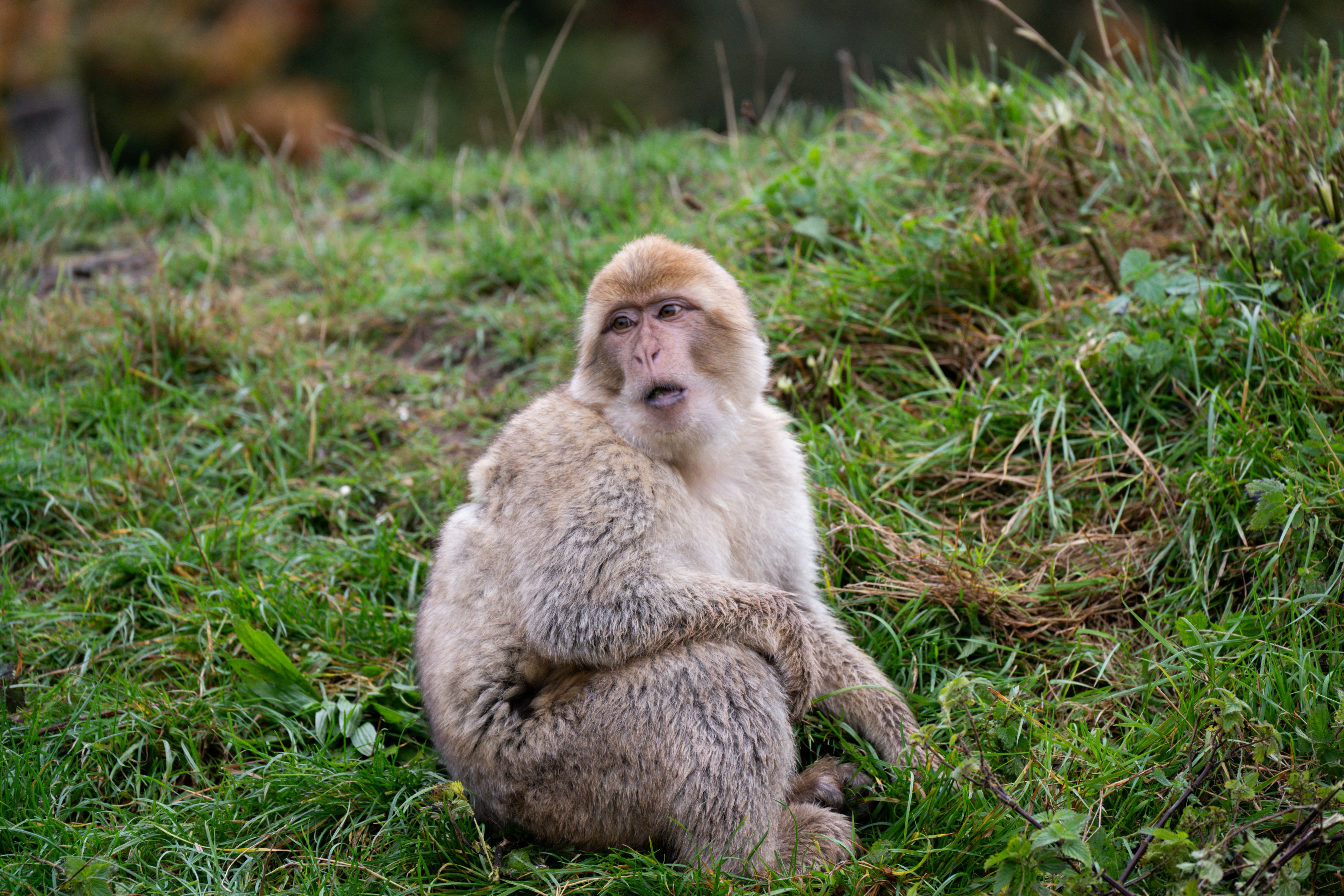 Photo by justmejuliee