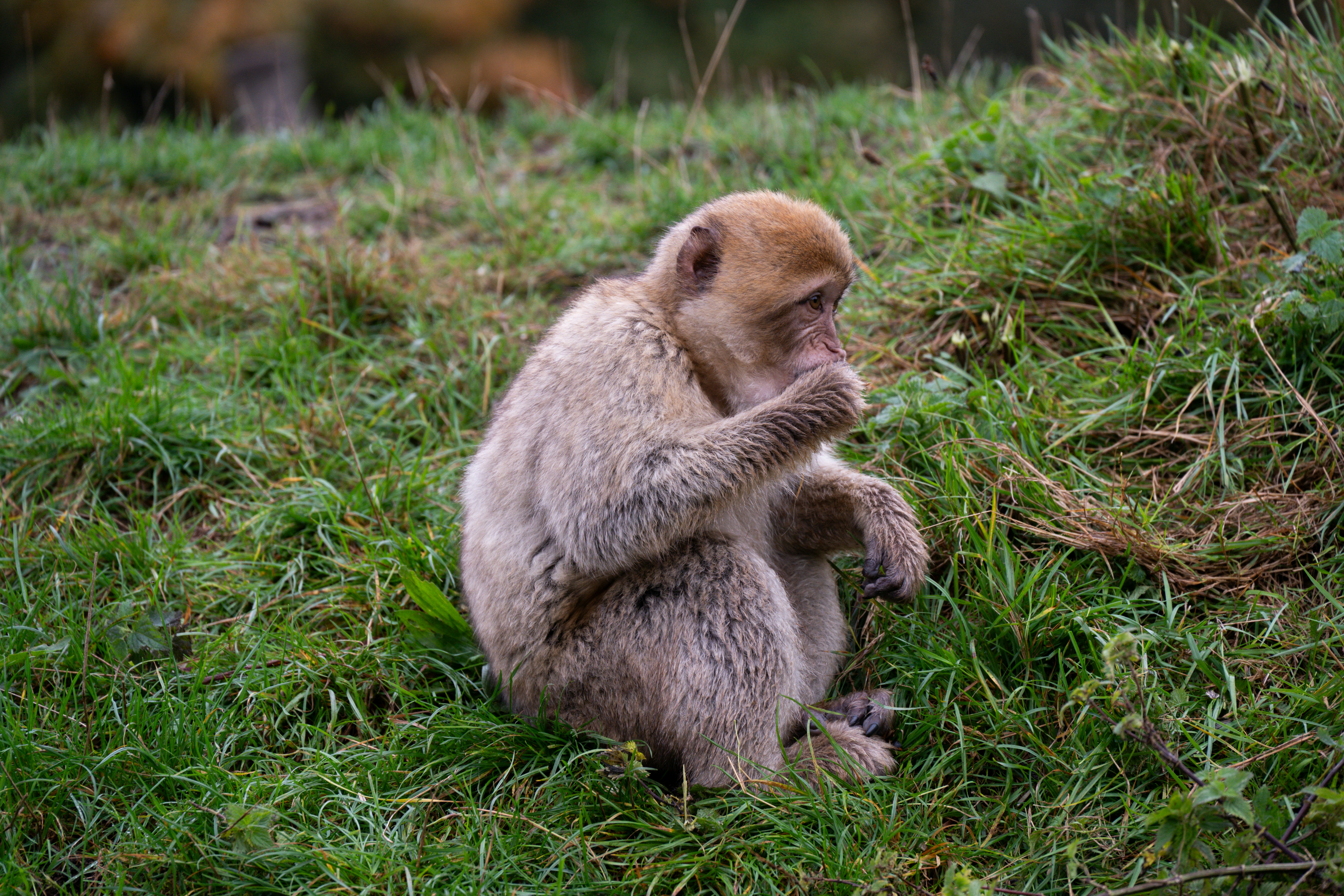 Photo by justmejuliee