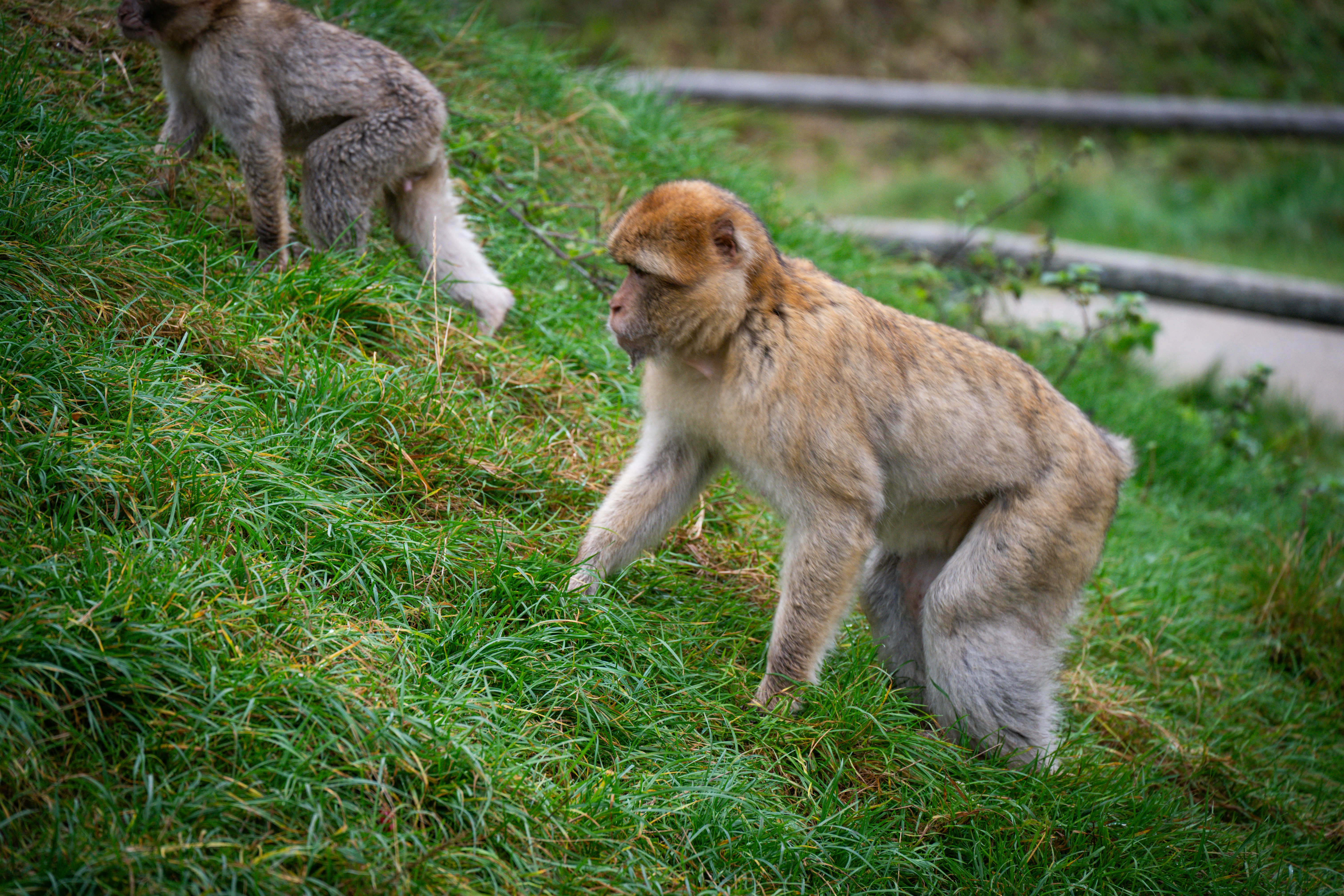 Photo by justmejuliee