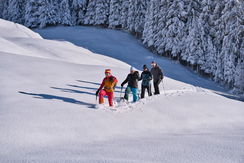 Uludağ snowshoe trek