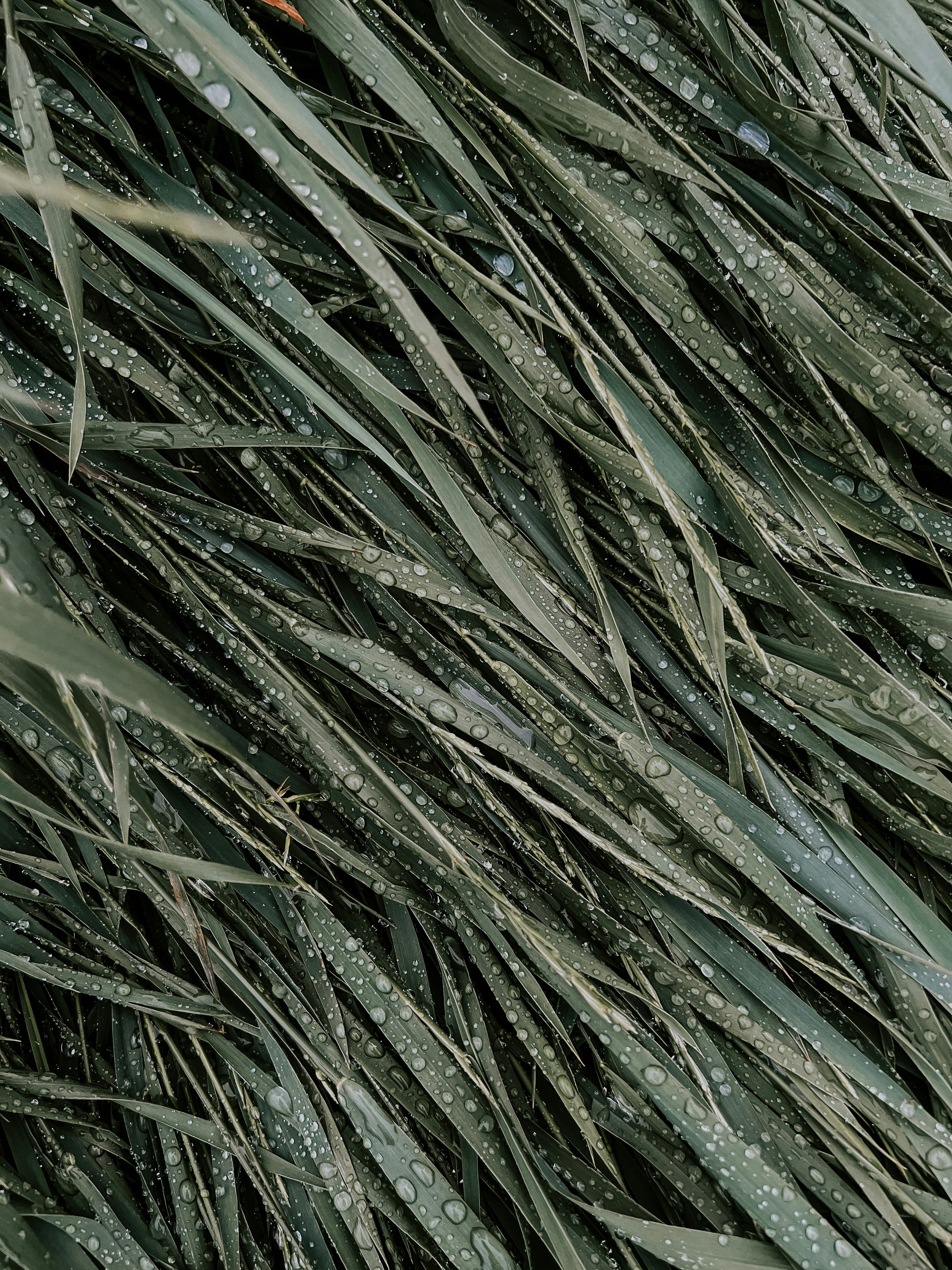 Photo by tsariovaanna