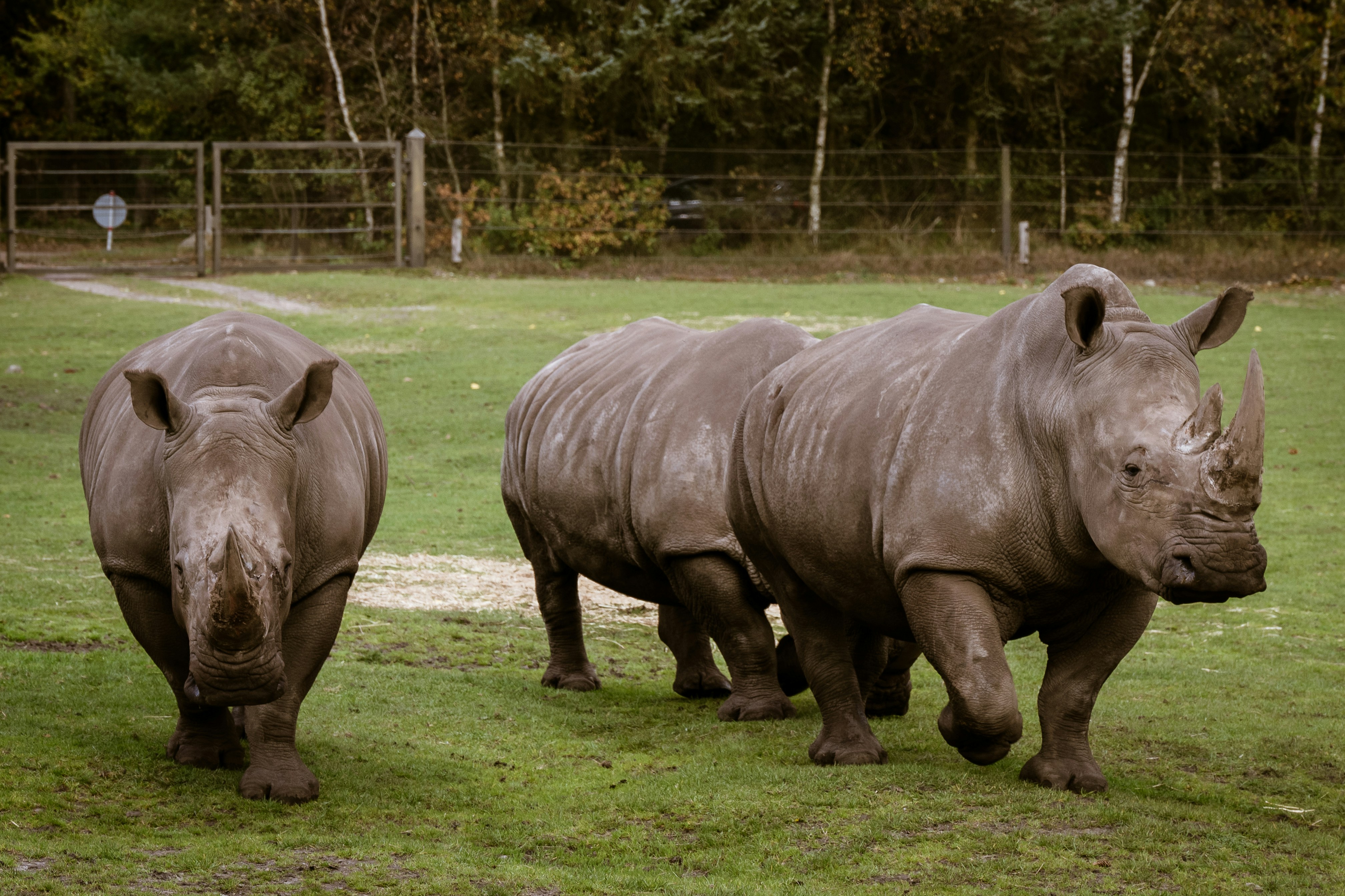 Photo by justmejuliee