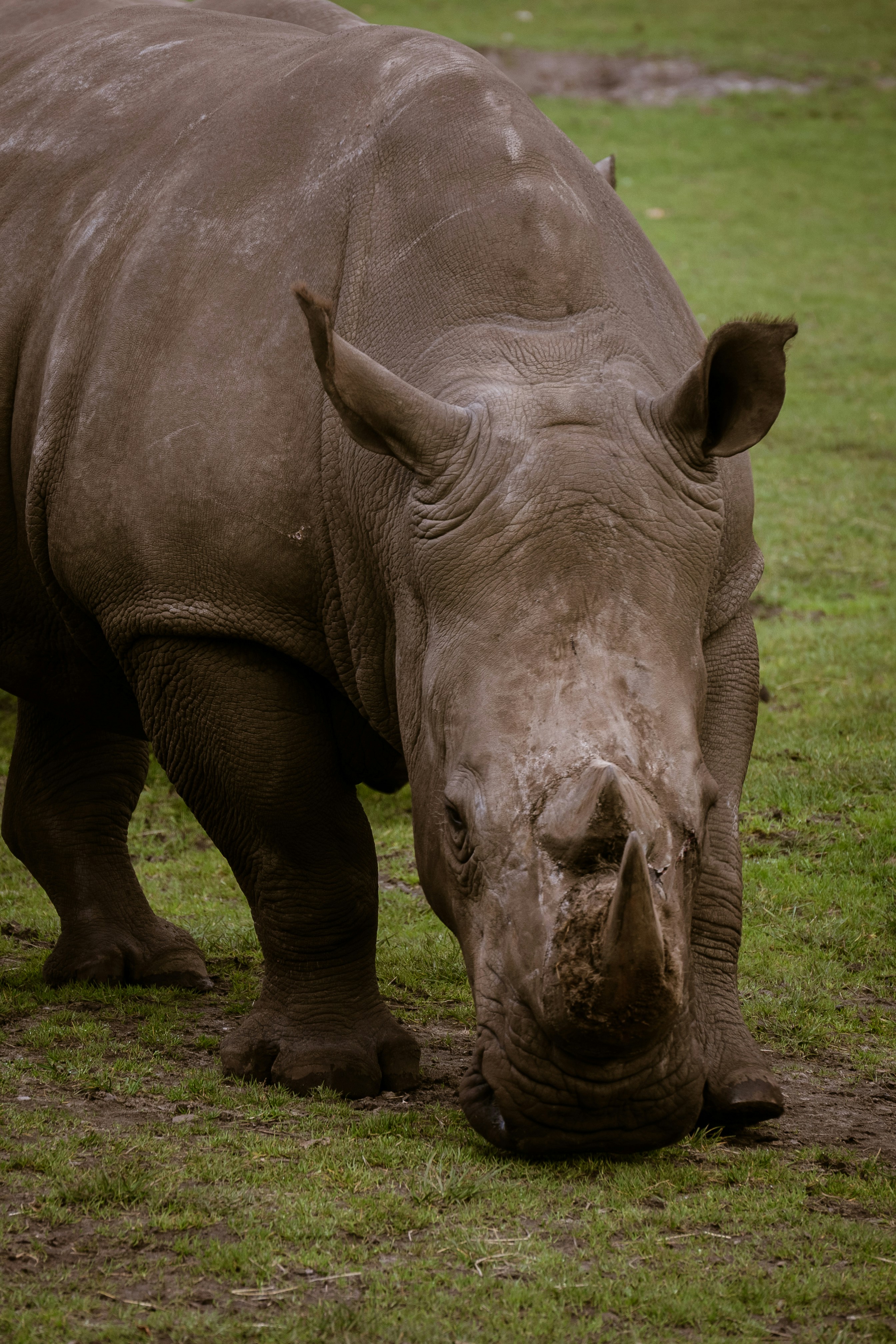 Photo by justmejuliee