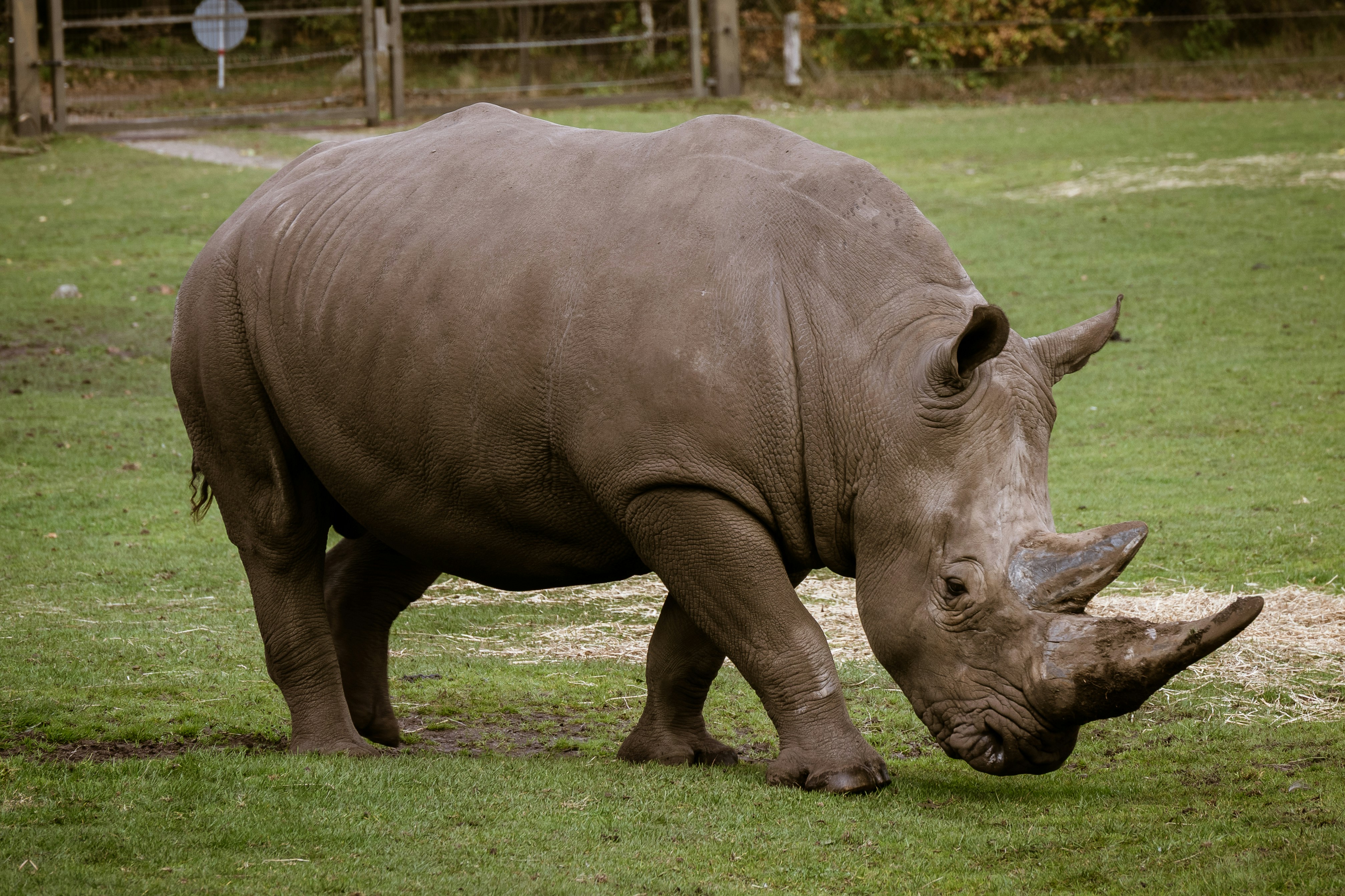 Photo by justmejuliee