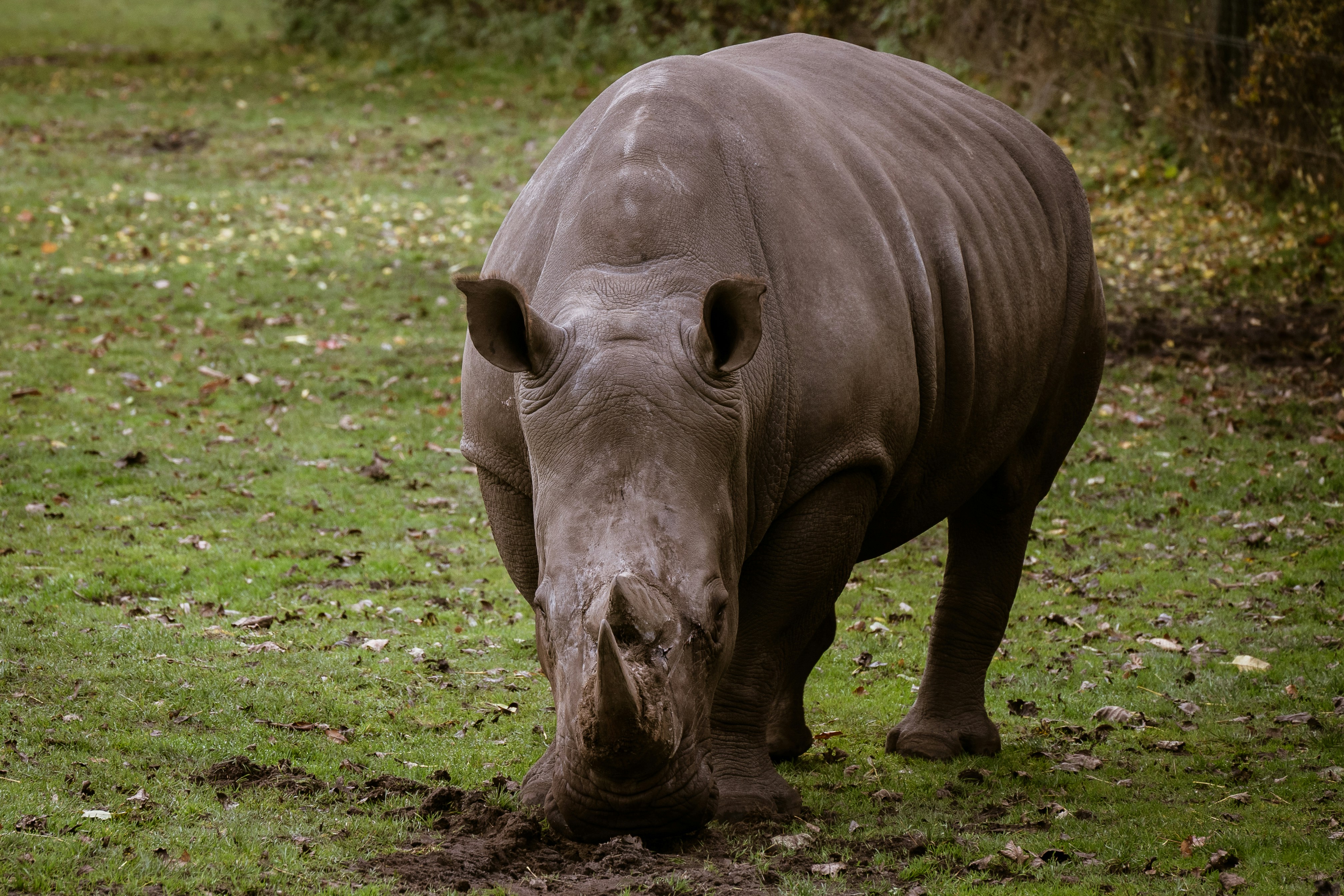 Photo by justmejuliee