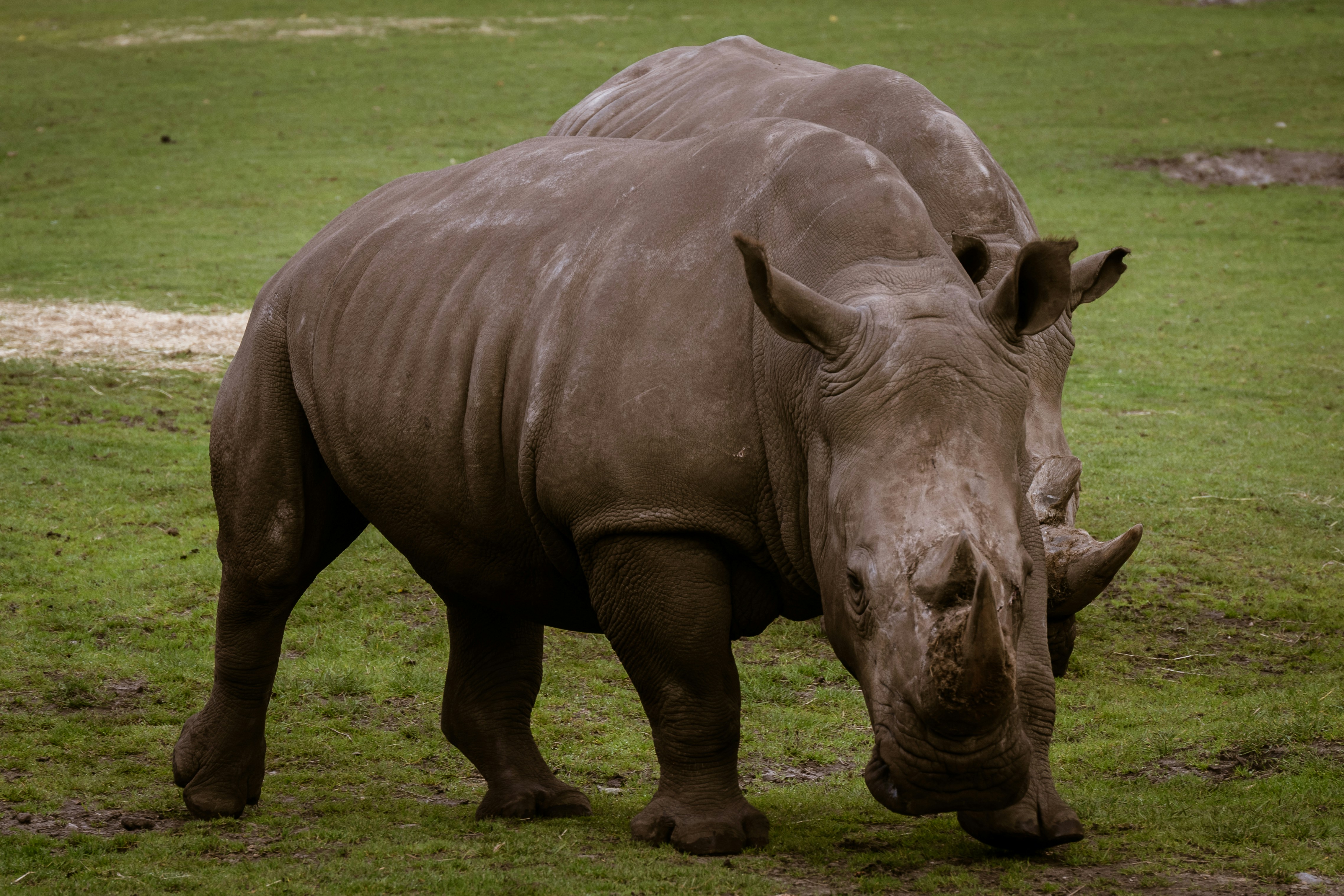 Photo by justmejuliee