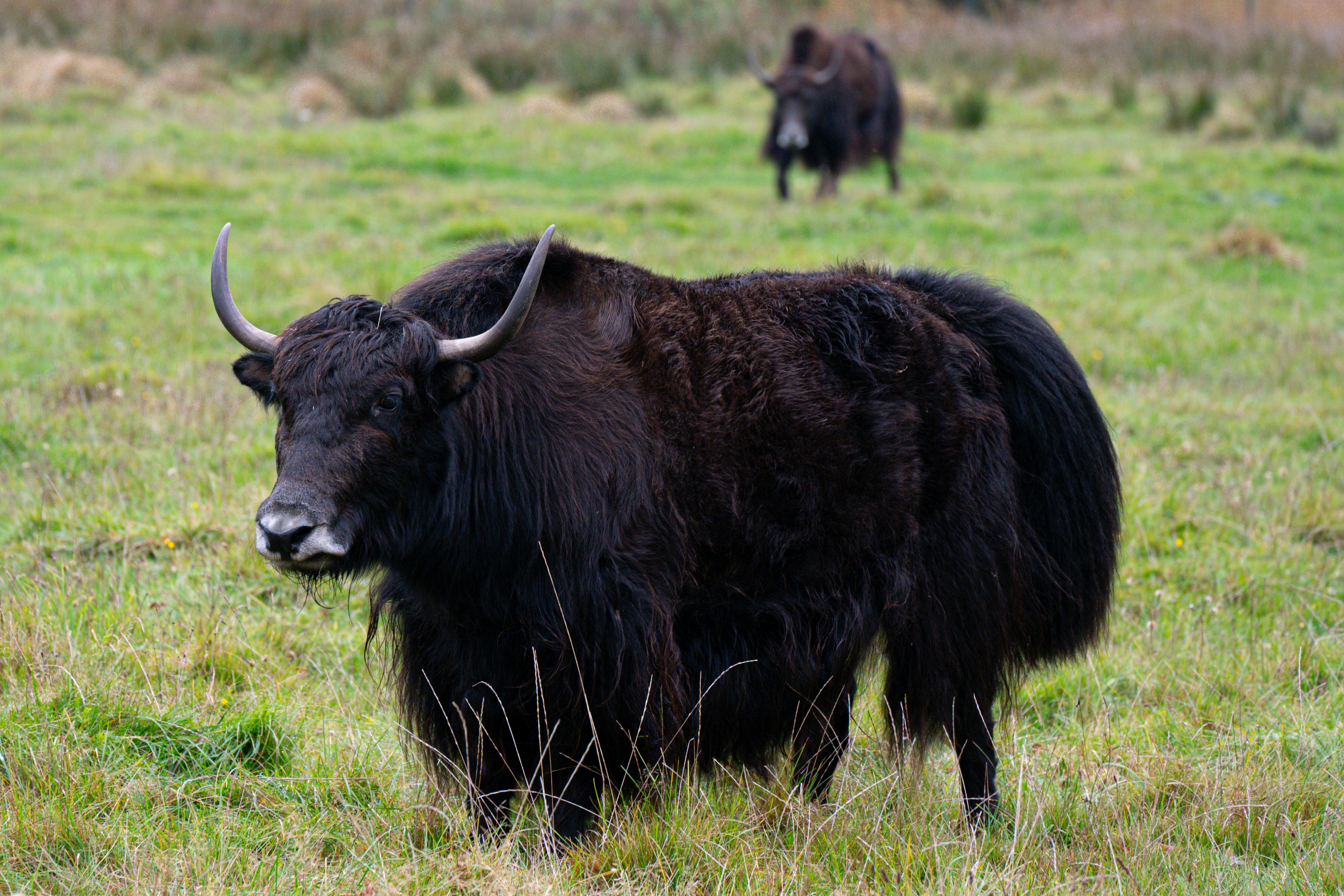 Photo by justmejuliee