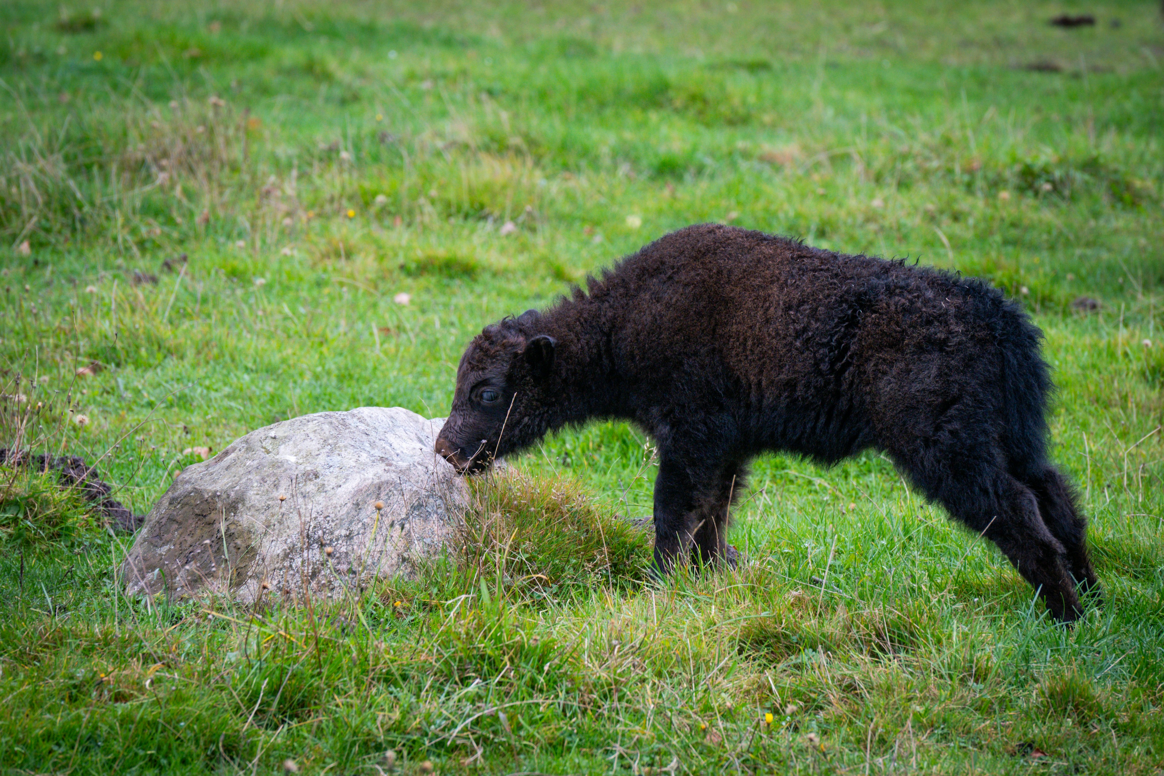 Photo by justmejuliee