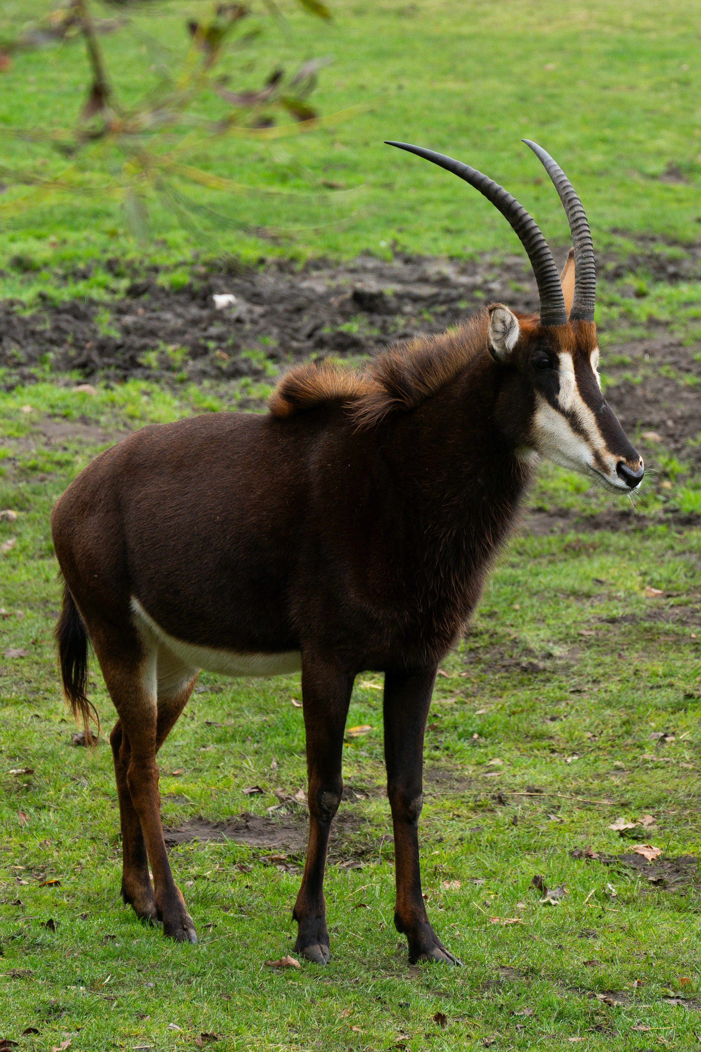 Photo by justmejuliee