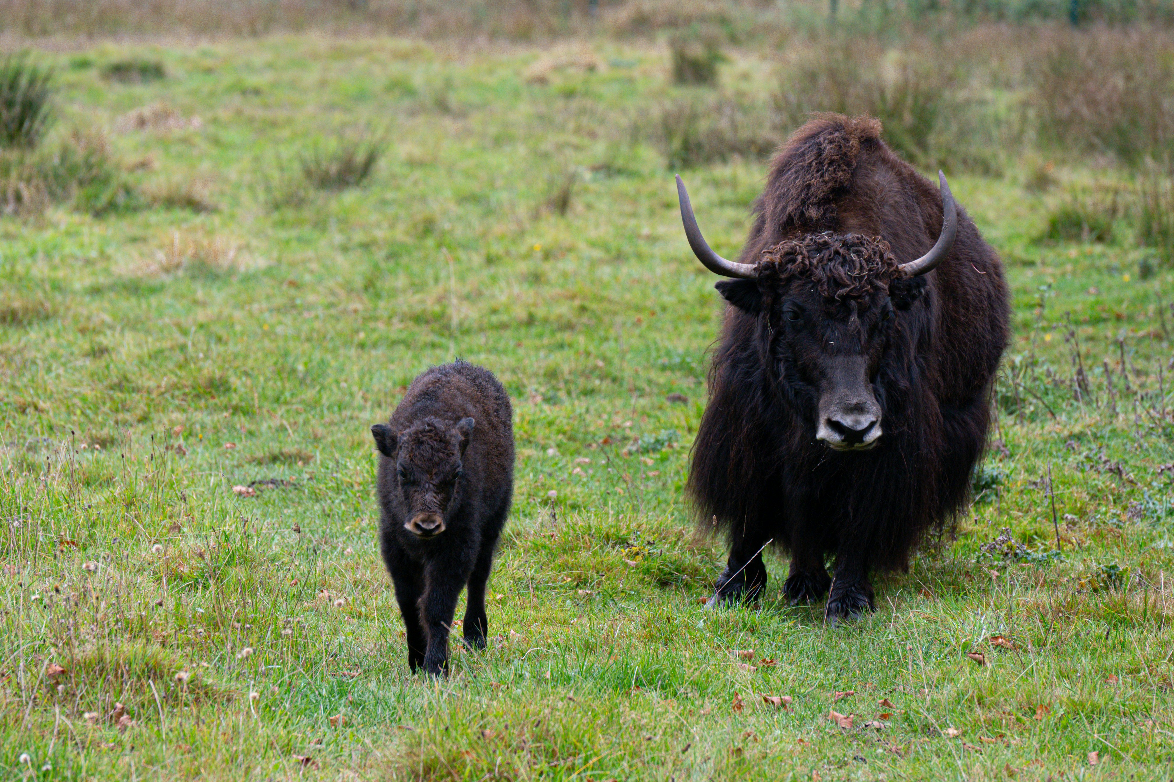 Photo by justmejuliee