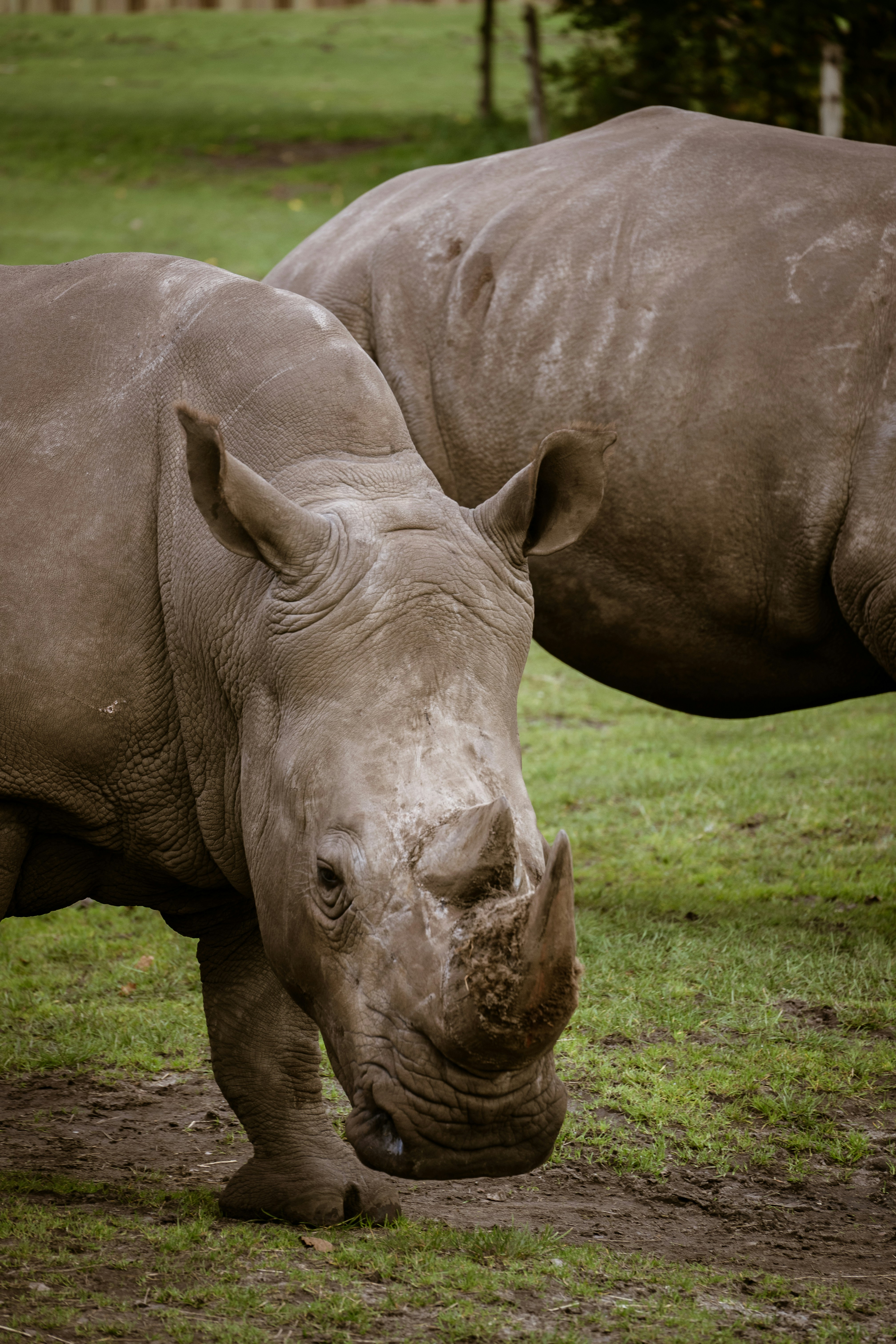 Photo by justmejuliee