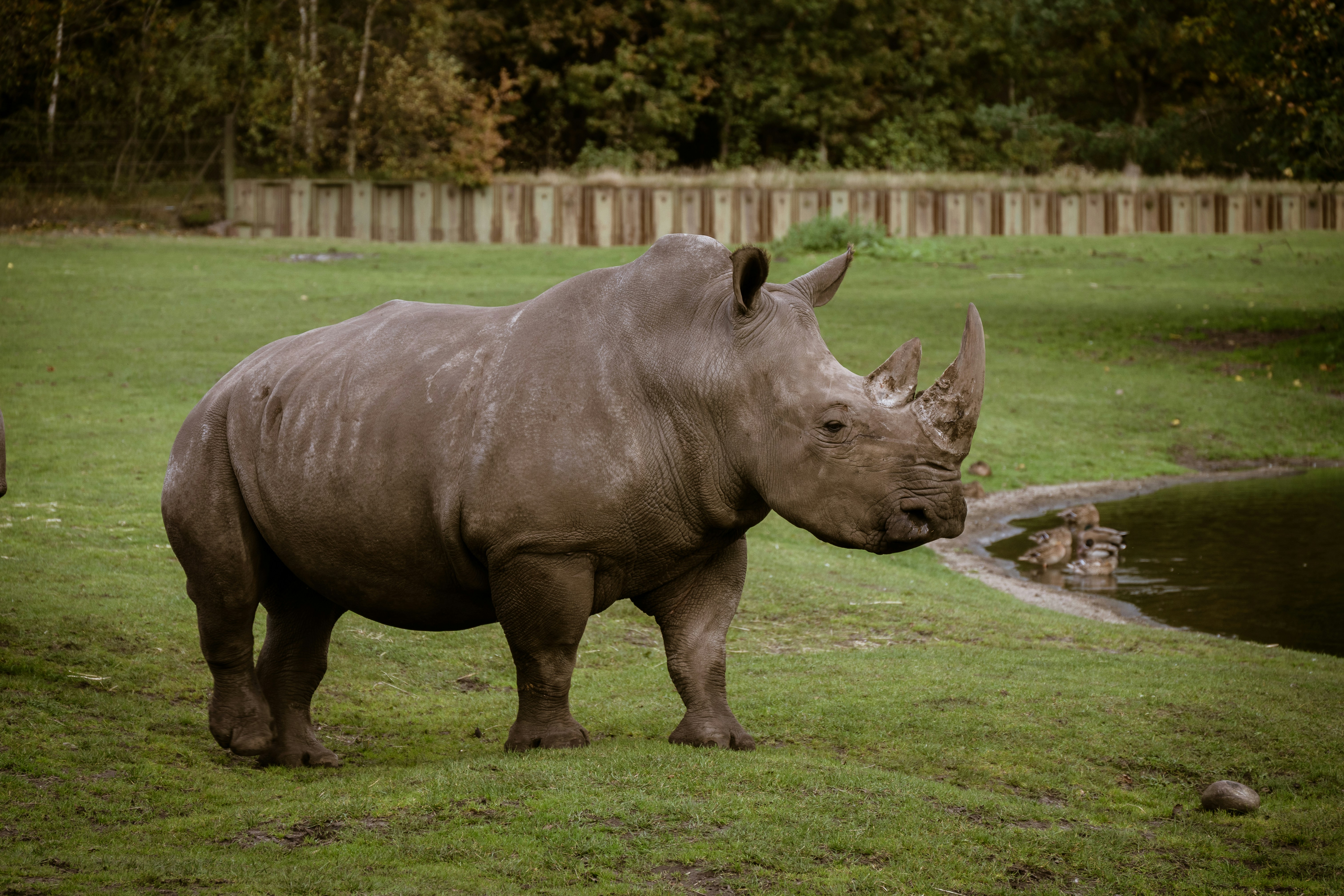 Photo by justmejuliee