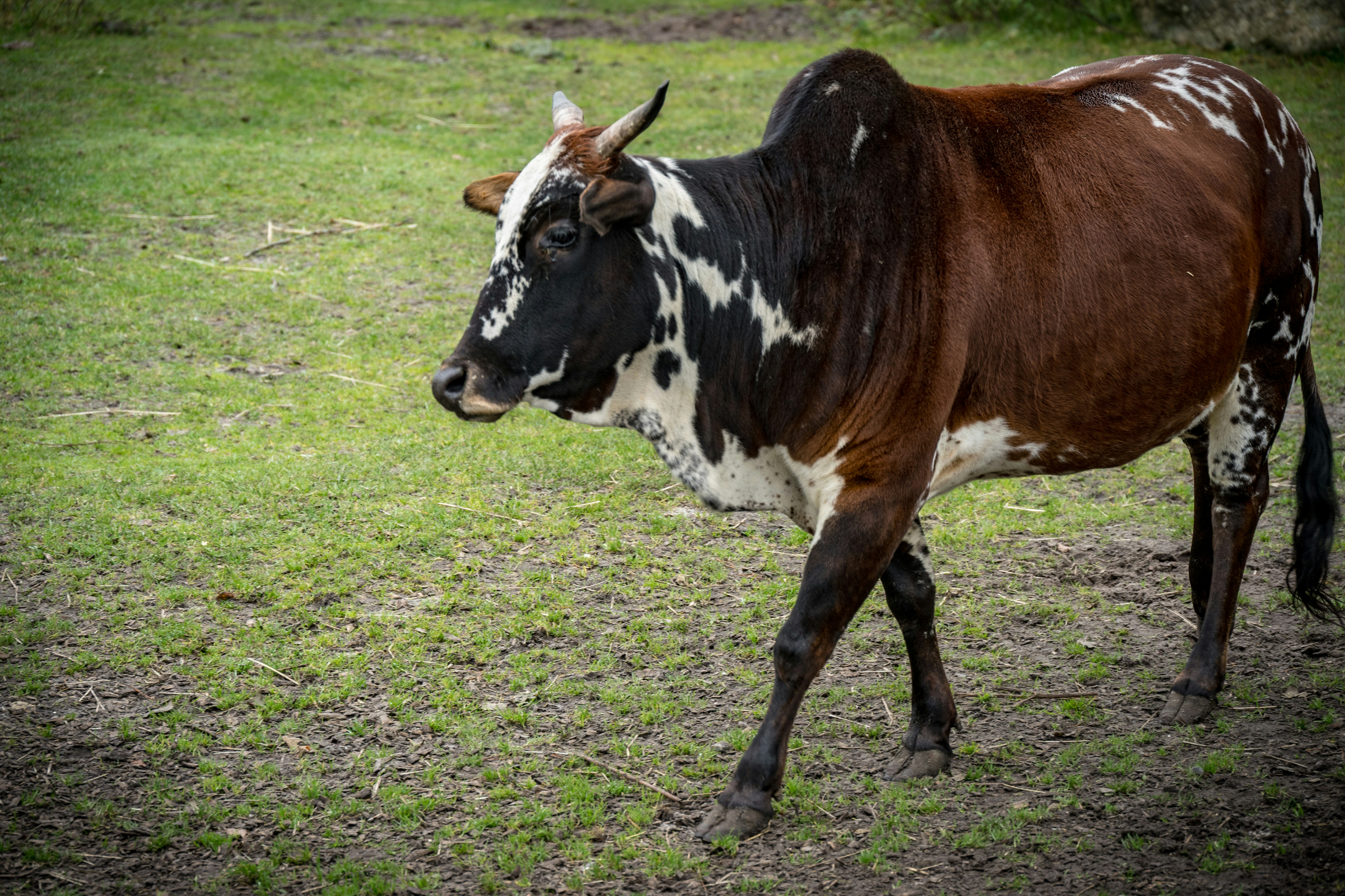 Photo by justmejuliee