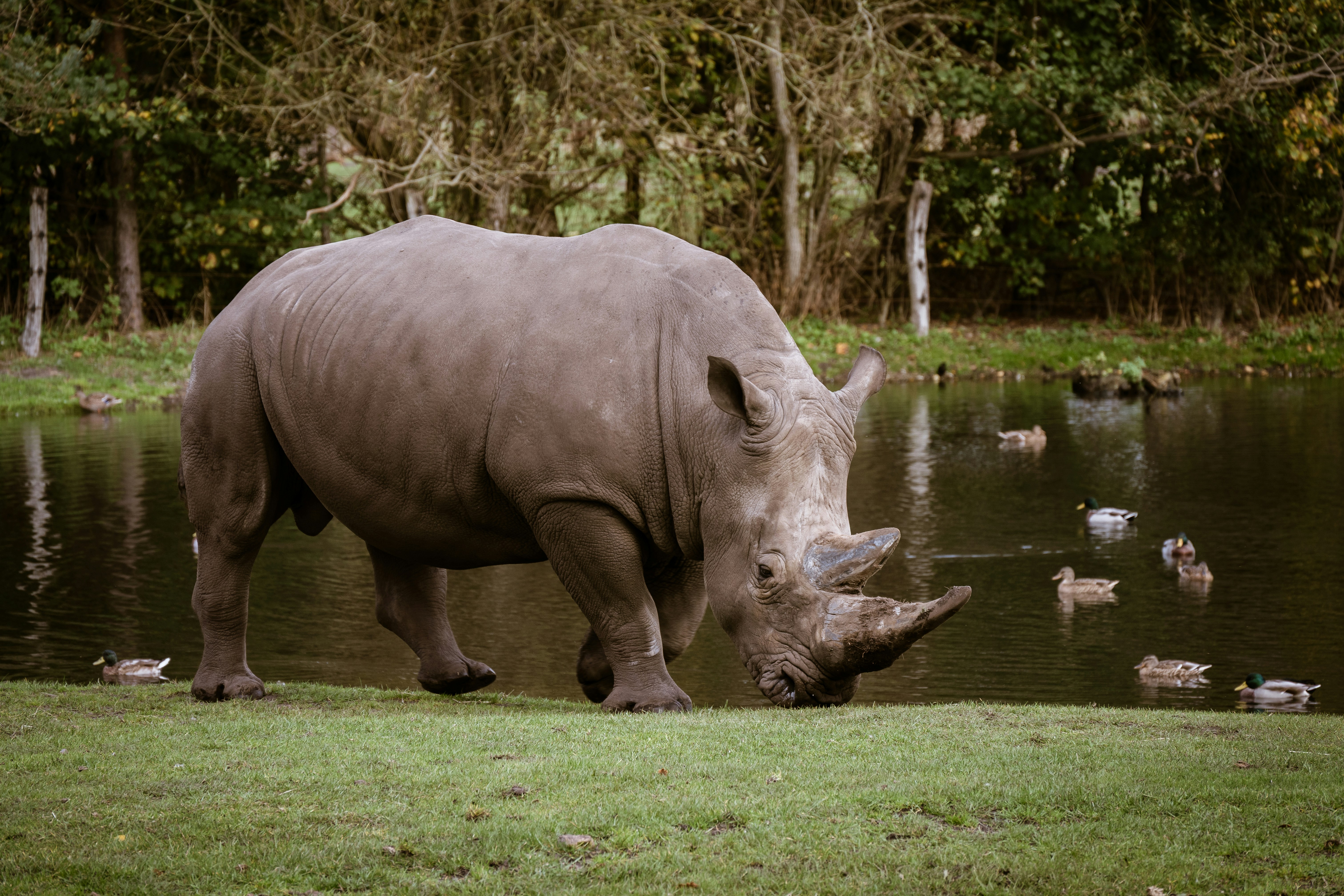 Photo by justmejuliee