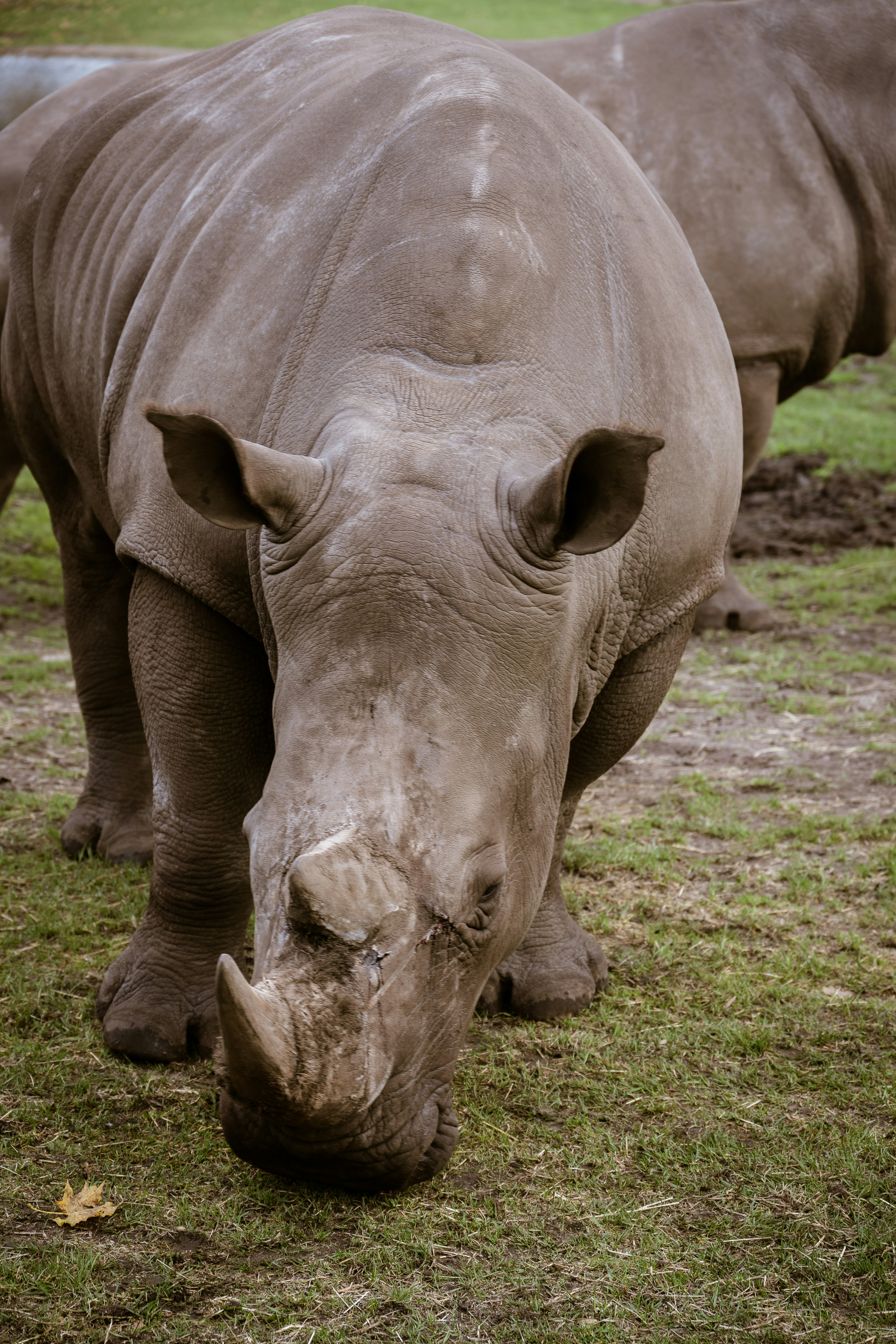 Photo by justmejuliee