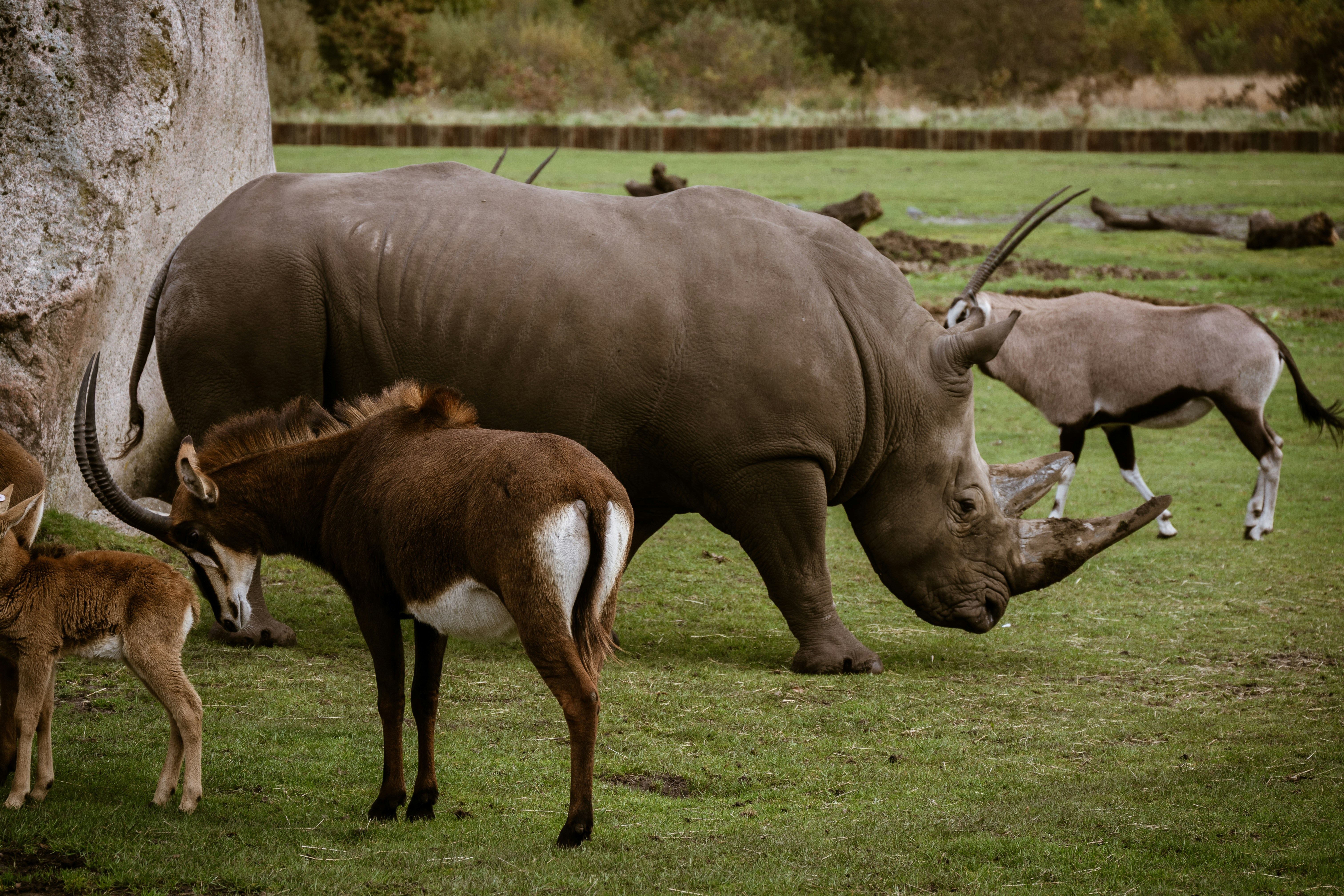 Photo by justmejuliee