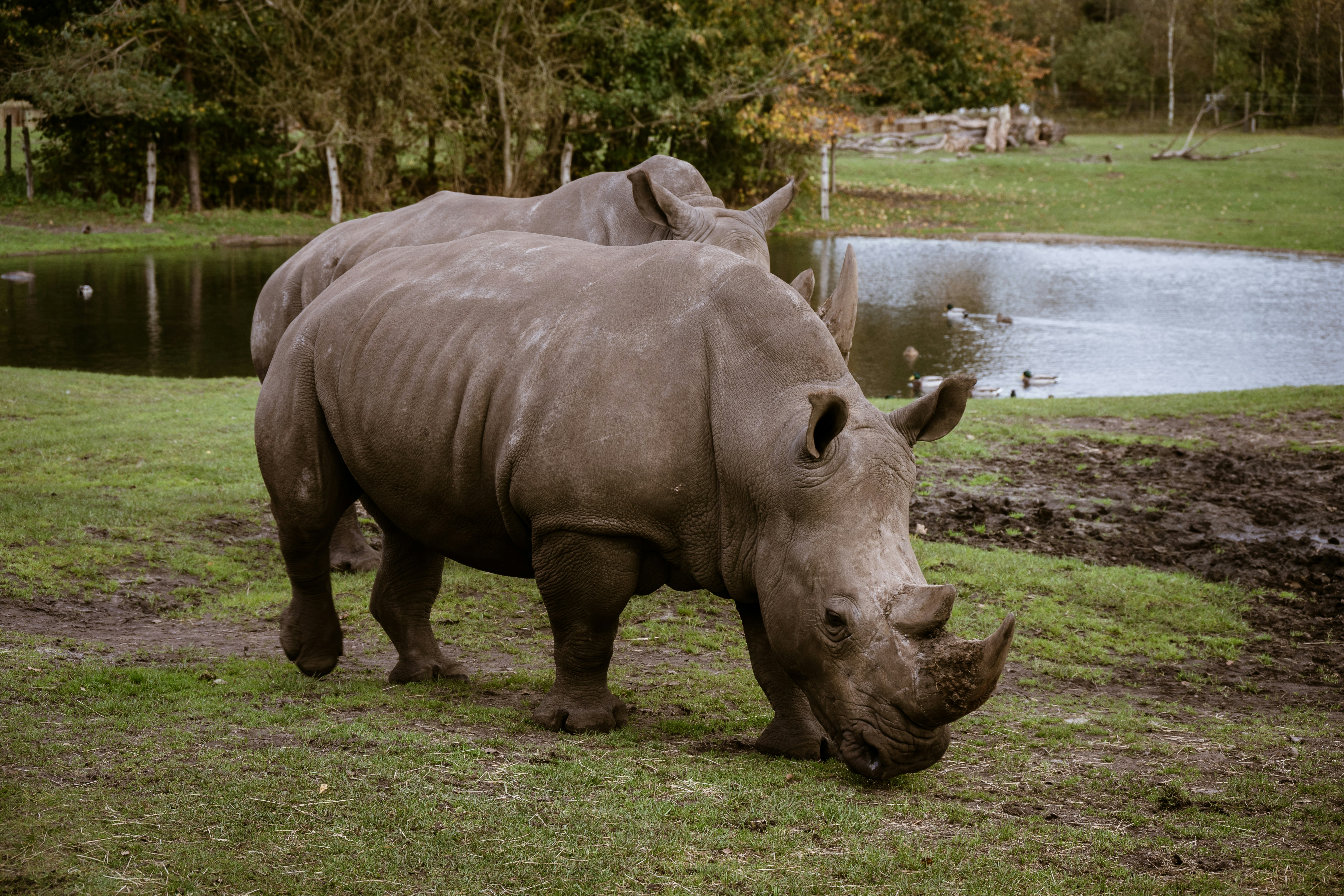 Photo by justmejuliee