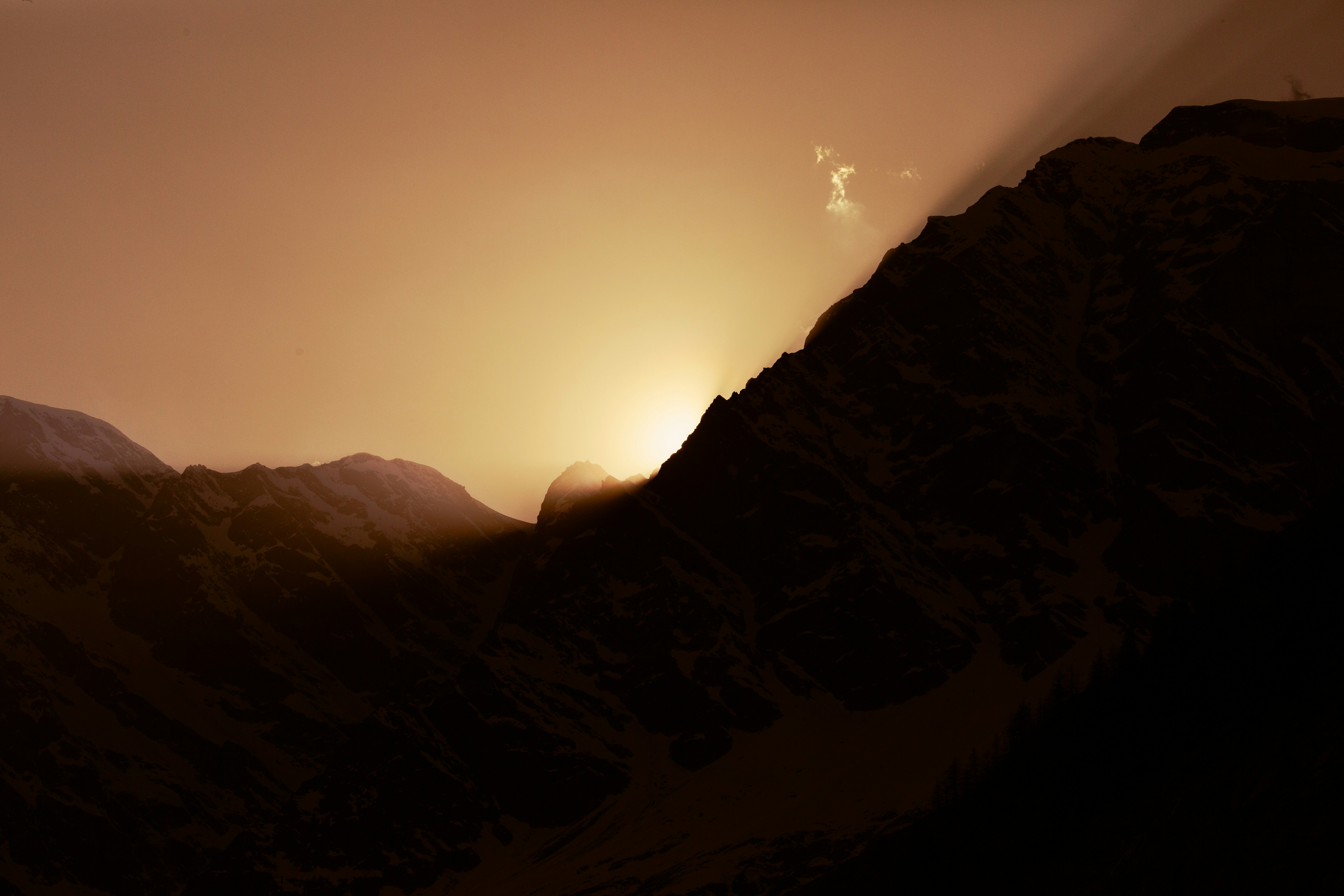 Gain An Understanding Of The Varying Approaches In Functional And Traditional Rheumatology-- Discover Which Could Transform Your Wellness Trip Favorably