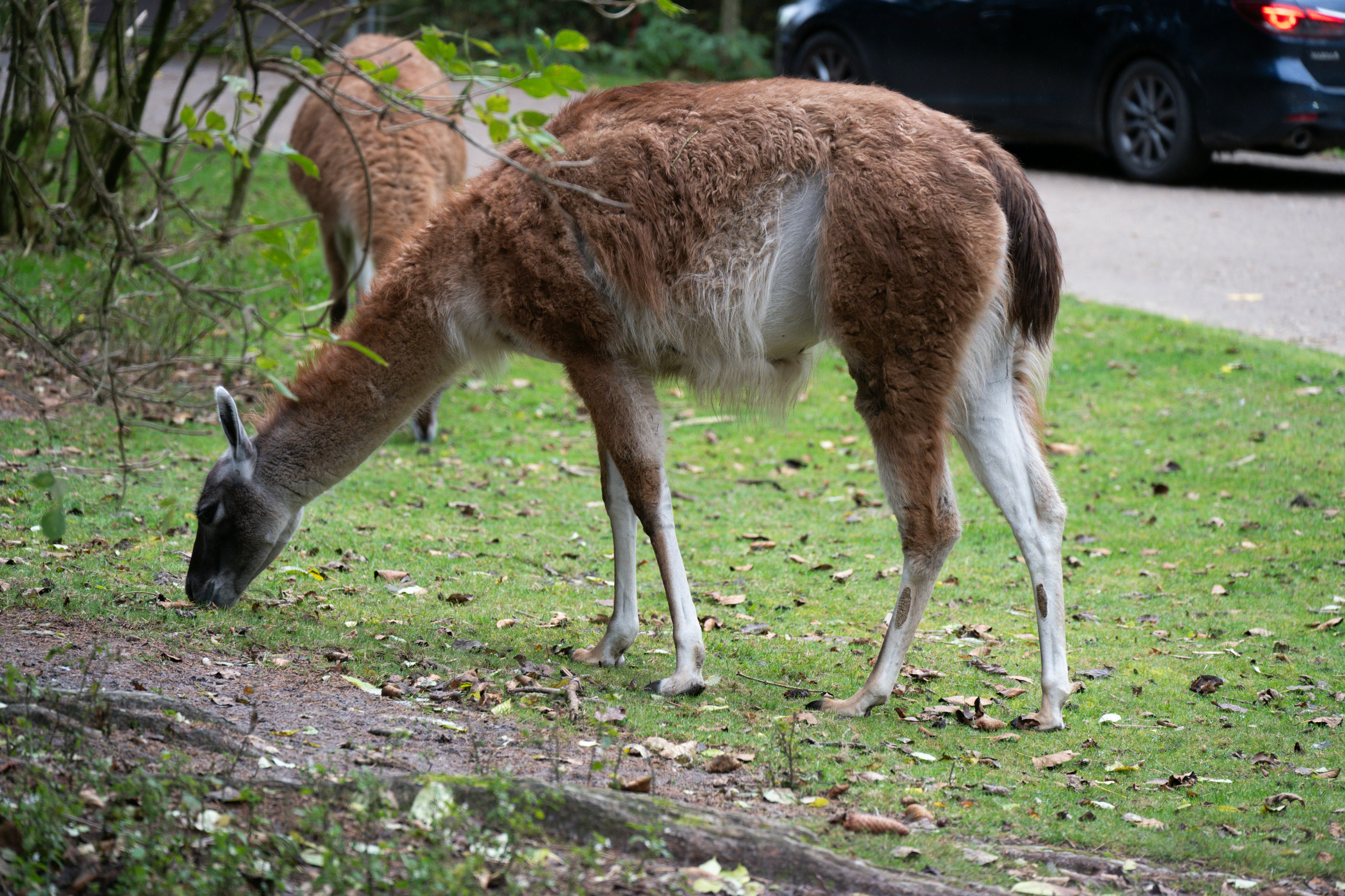 Photo by justmejuliee