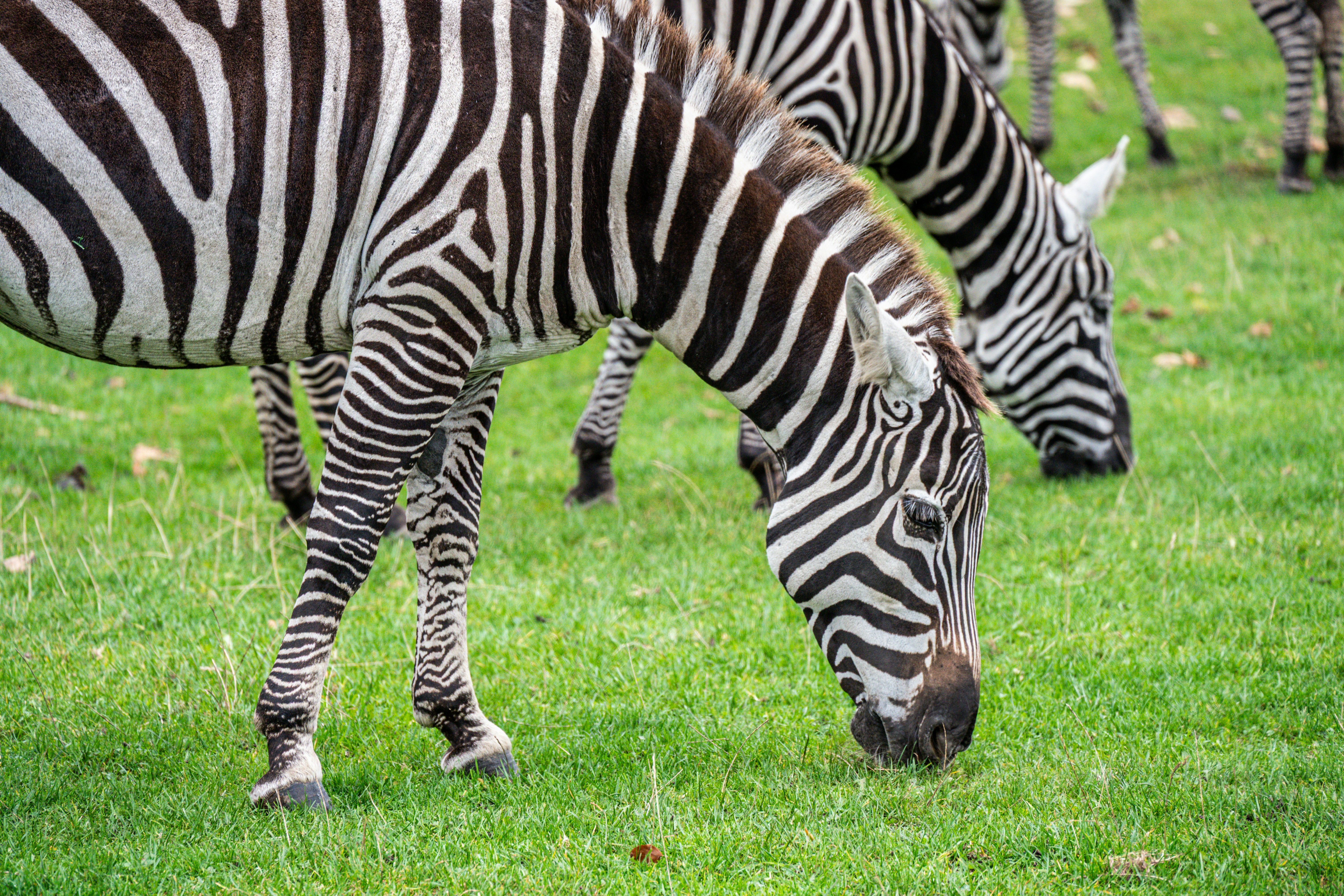 Photo by justmejuliee