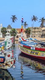 Colorful fishing boats docked in a harbor with palm trees.