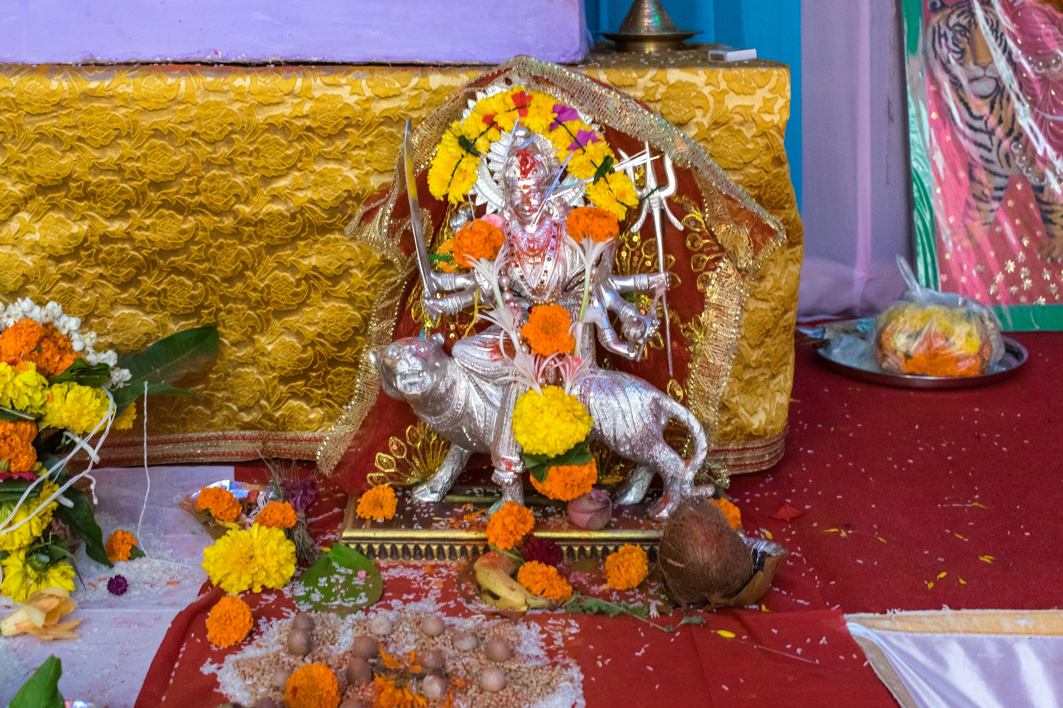 Photo by sonika_agarwal