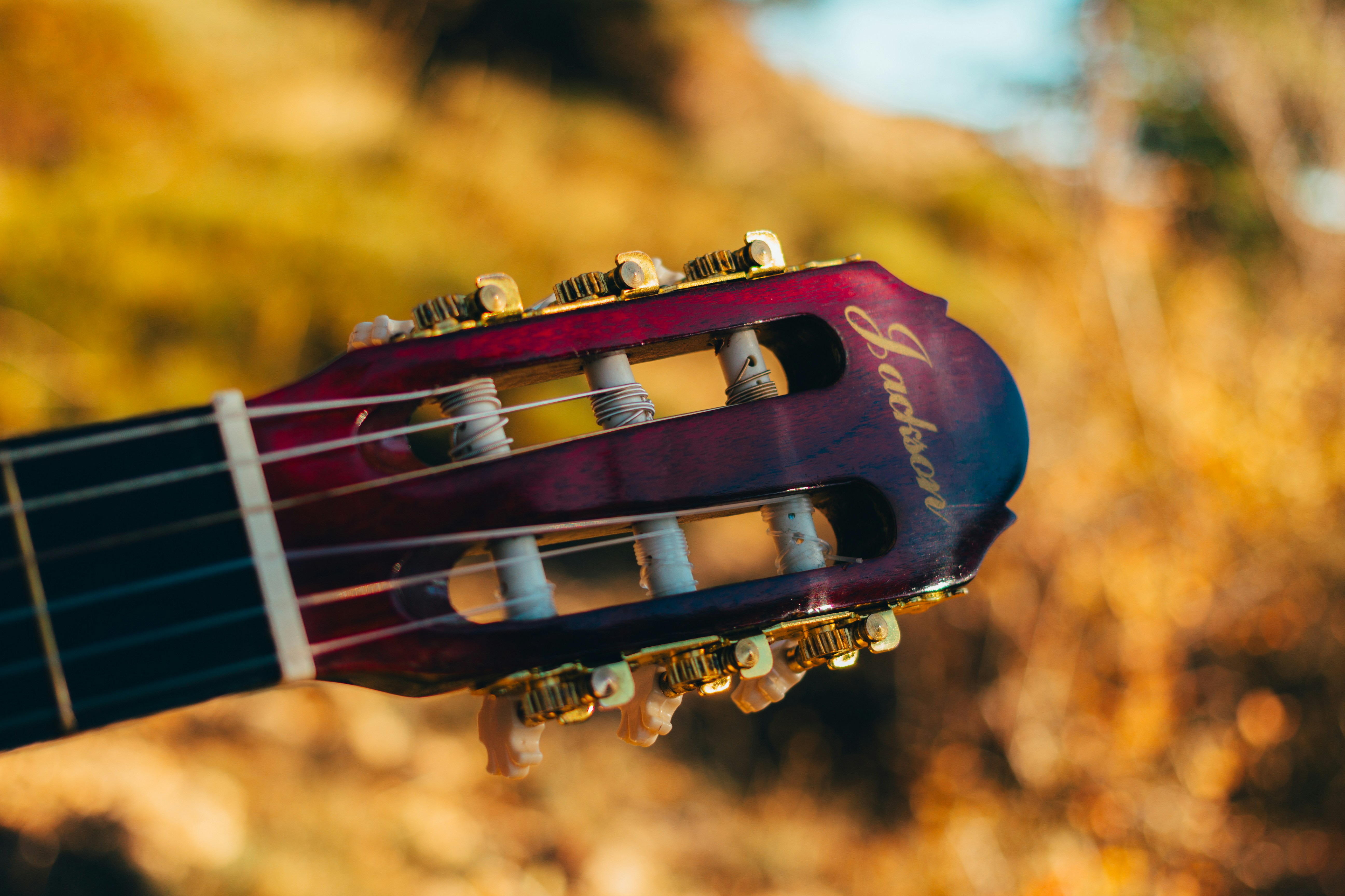 autumn acoustic music