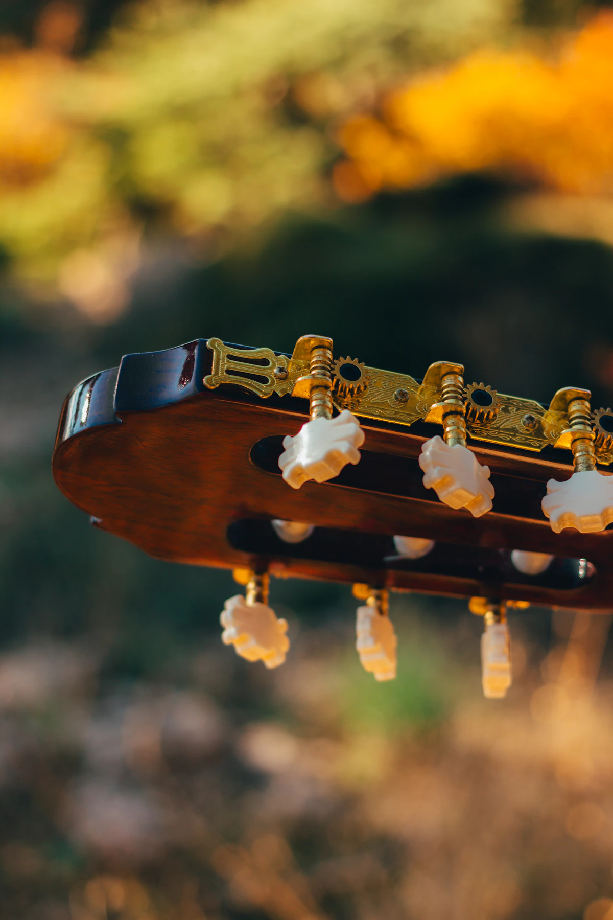 A close-up of a guitar headstock with tuning pegs, analogous to tuning an instrument against a fixed external pitch, where matching one guitar to another that is itself slightly flat leaves both consonant with each other yet both below true pitch