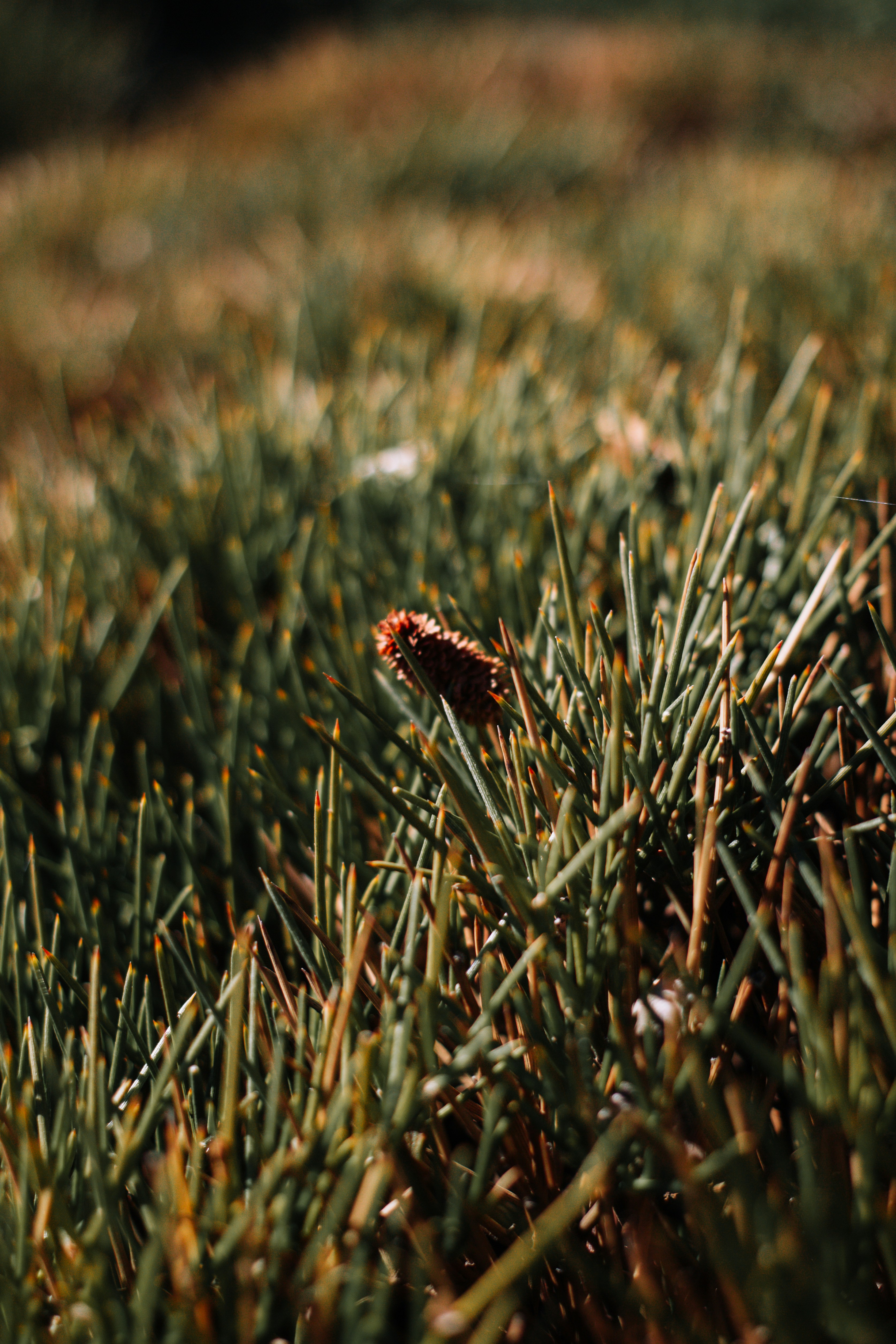 Photo by tomarquize
