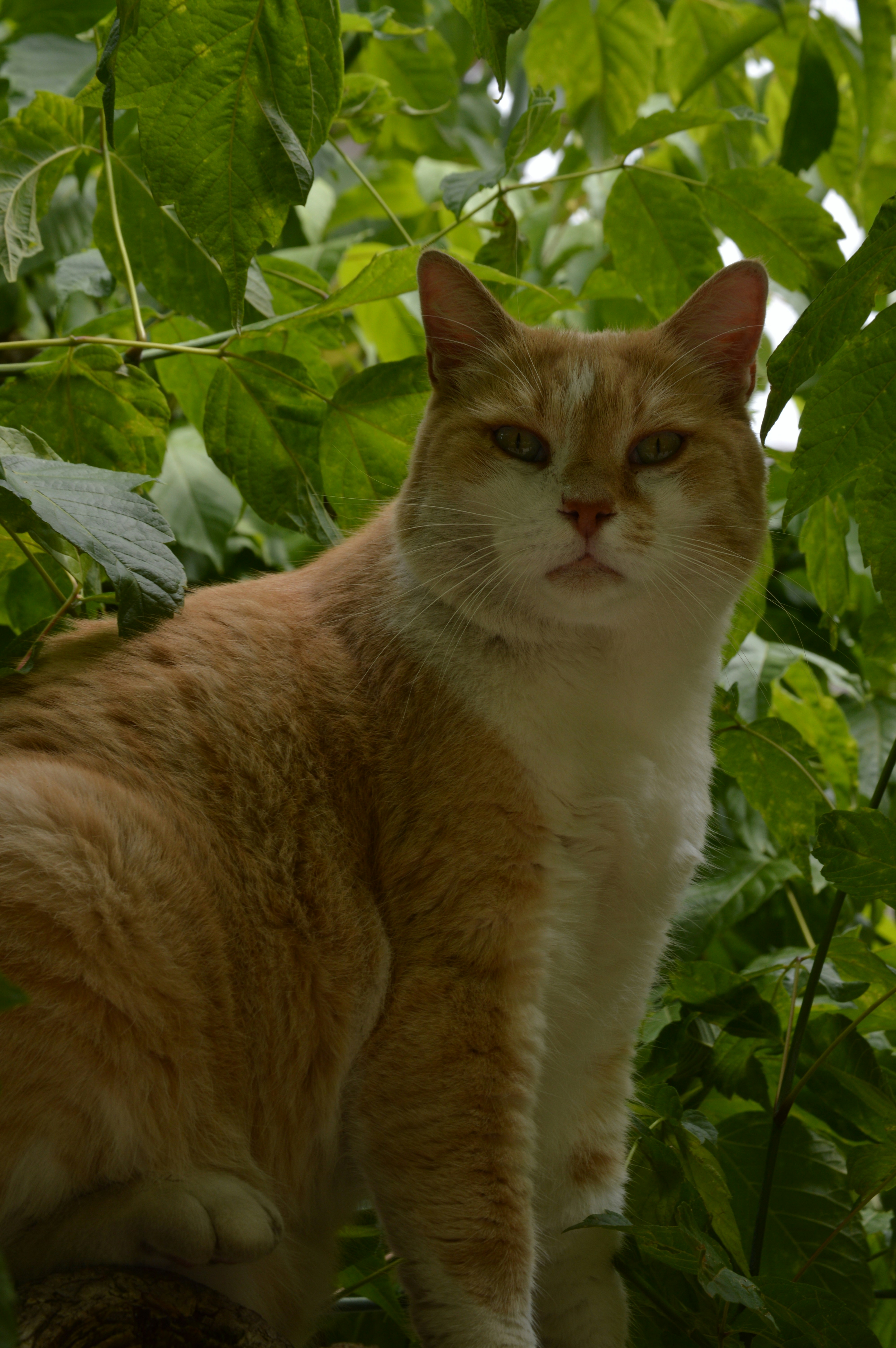 Photo by lorenzo_morenog