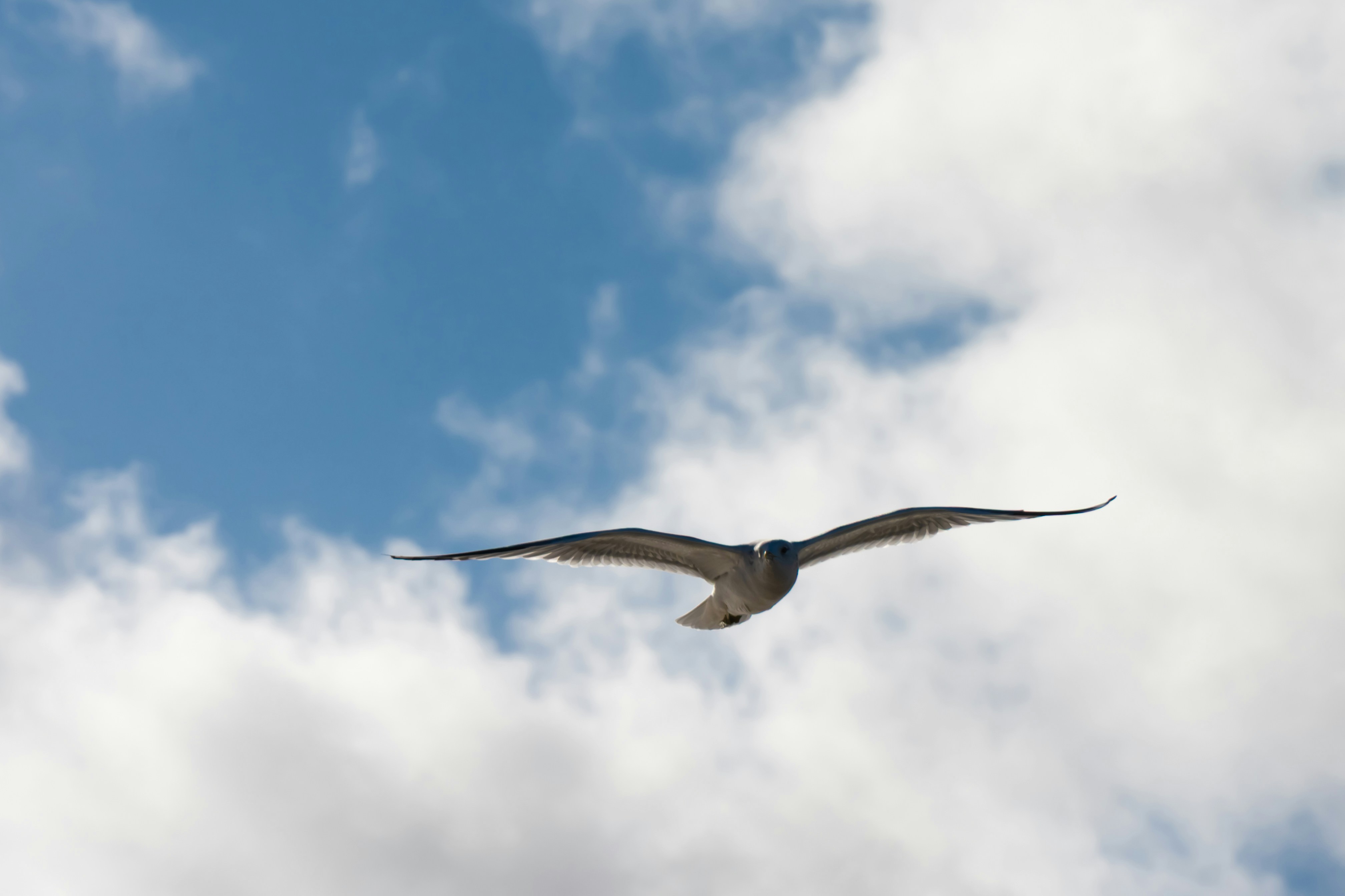 Photo by justmejuliee