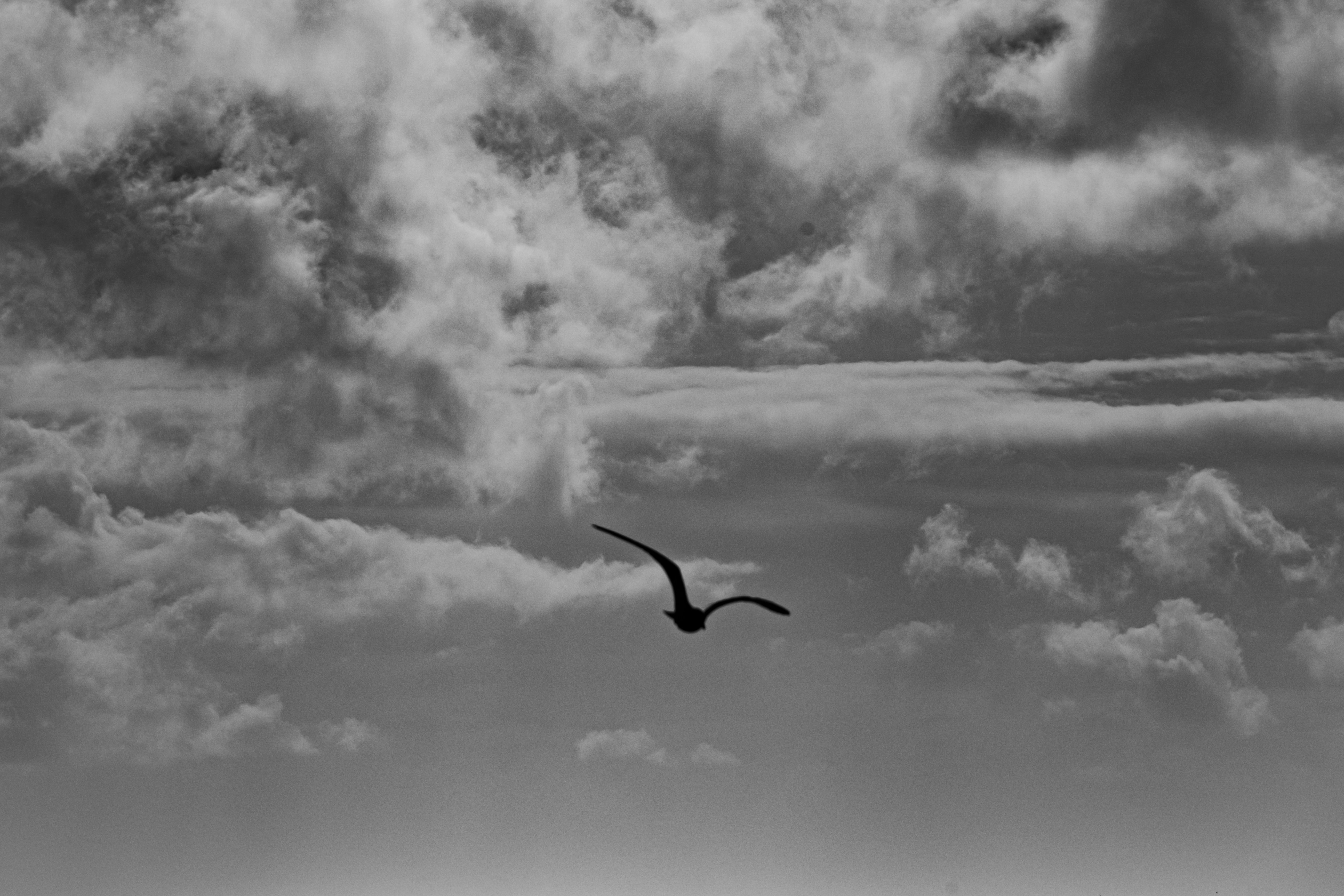 Photo by justmejuliee