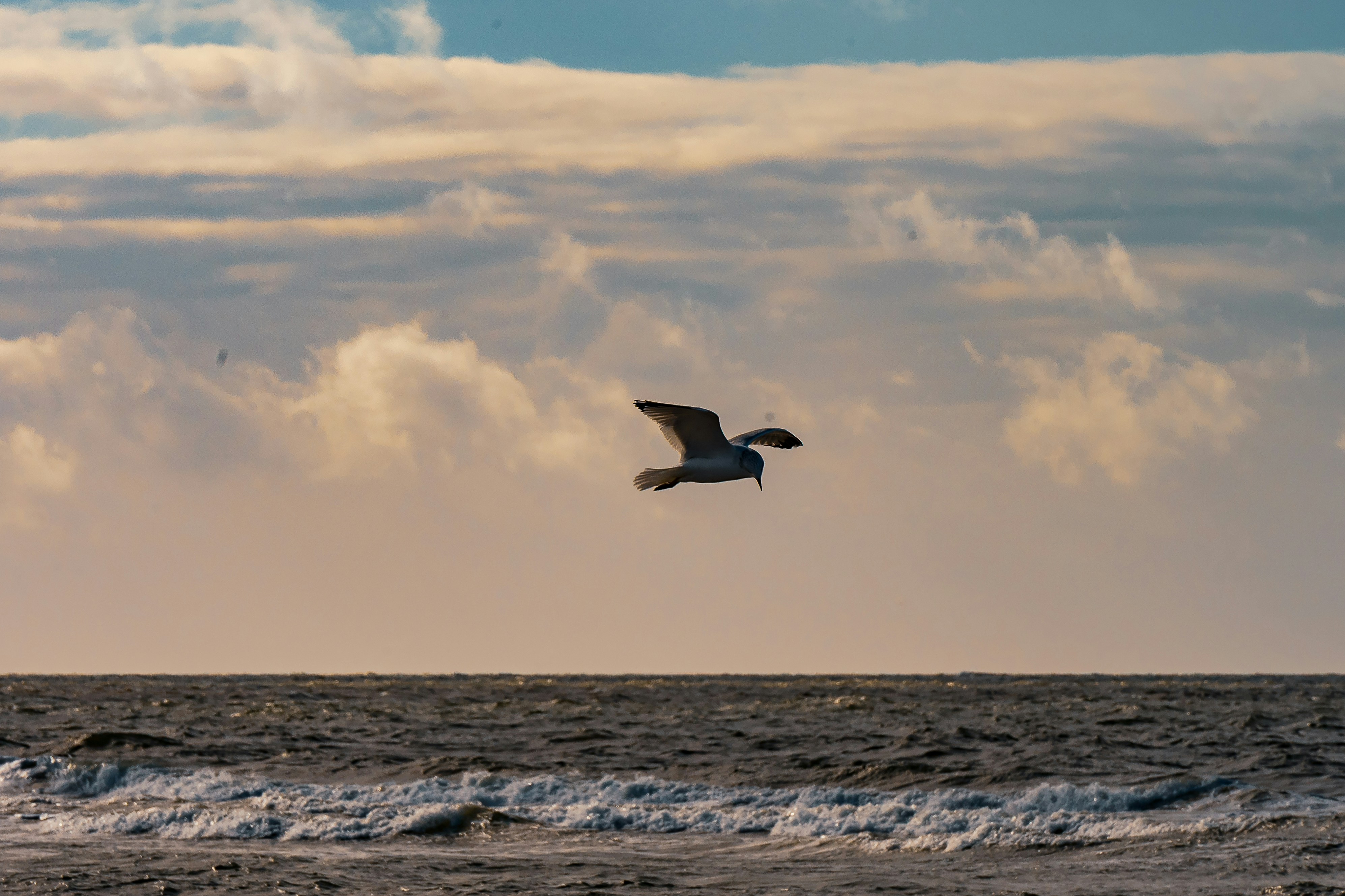 Photo by justmejuliee