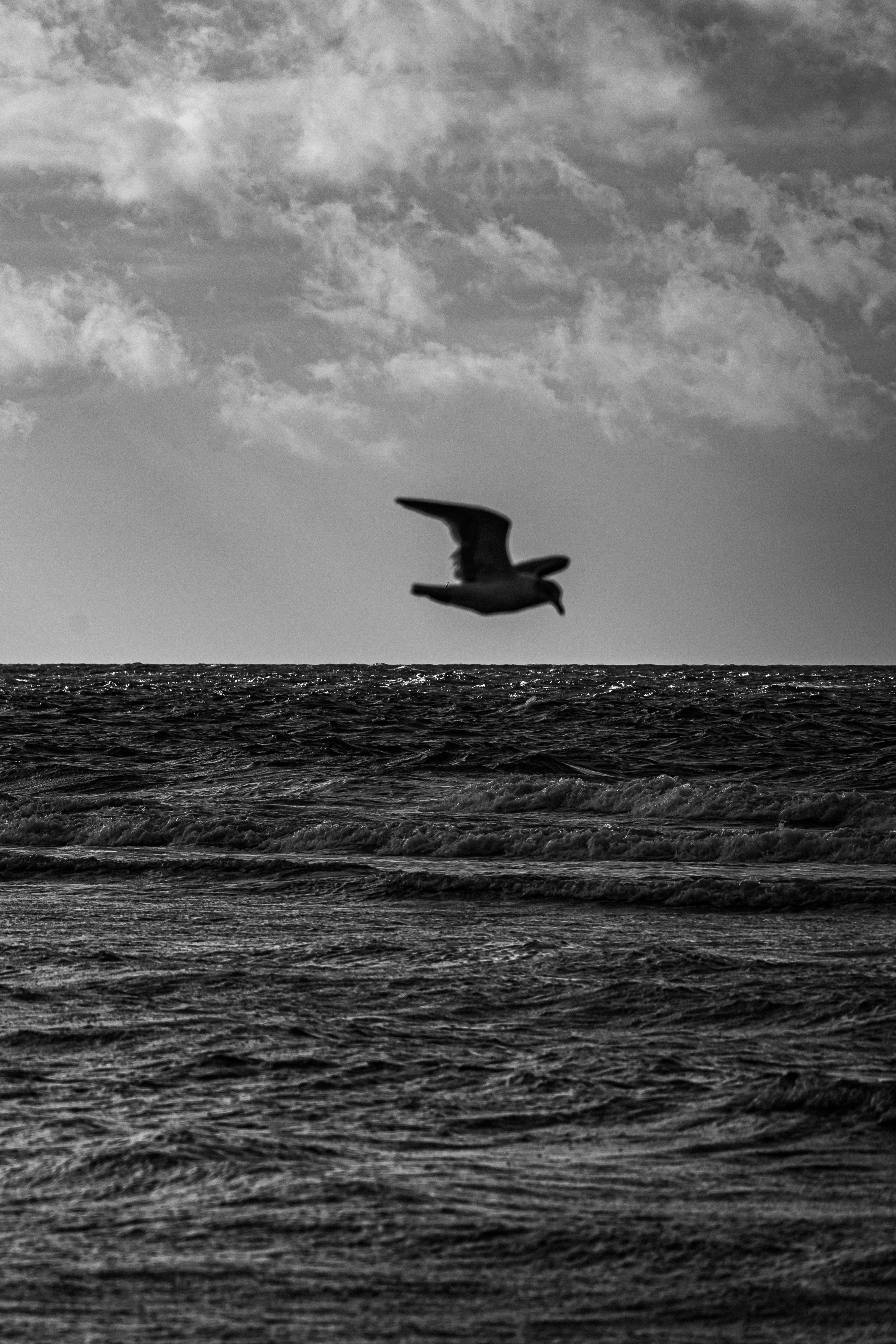 Photo by justmejuliee